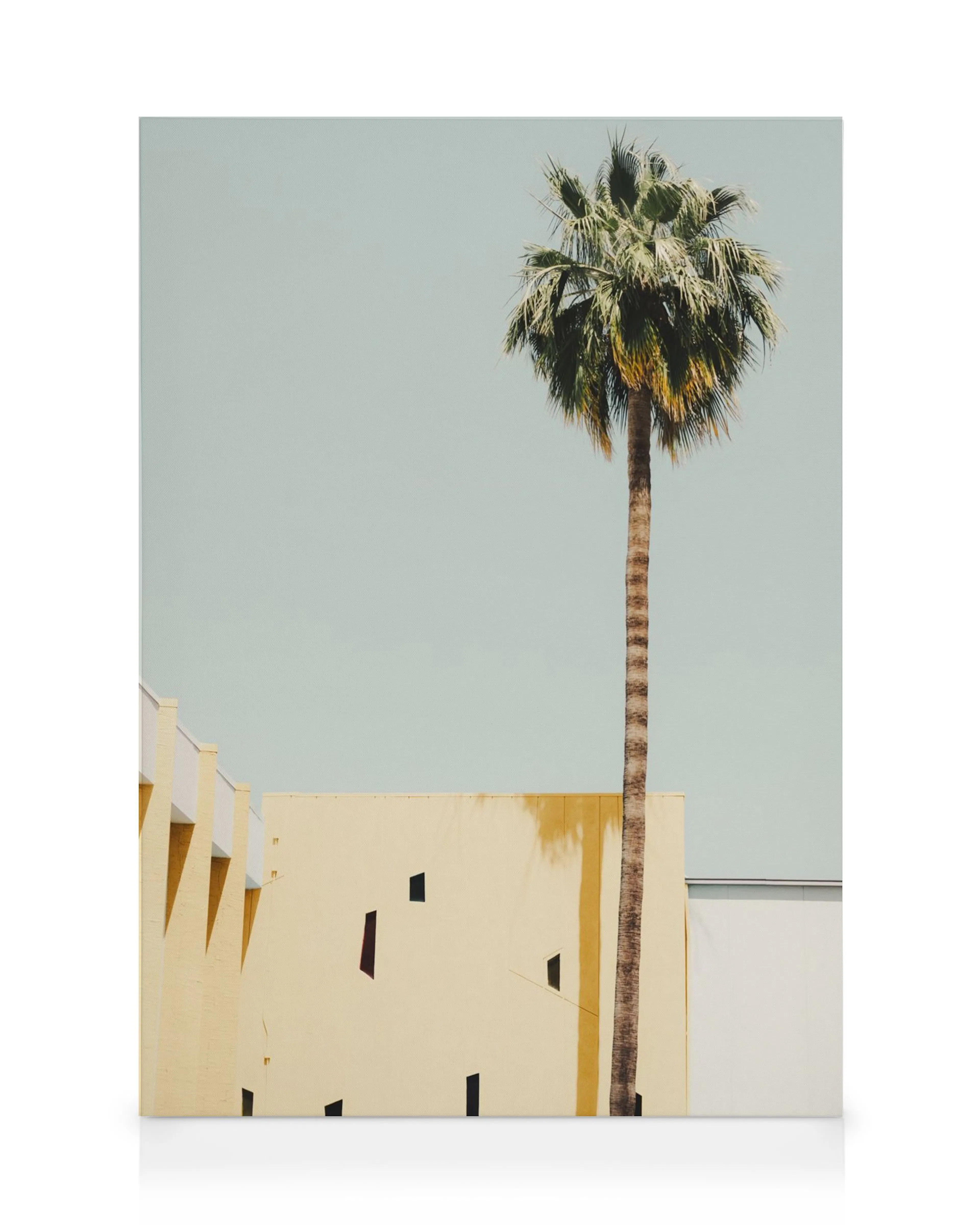 Lienzo de una palmera alta de tronco delgado con hojas verdes y amarillas, junto a un edificio amarillo pastel bajo un cielo cla