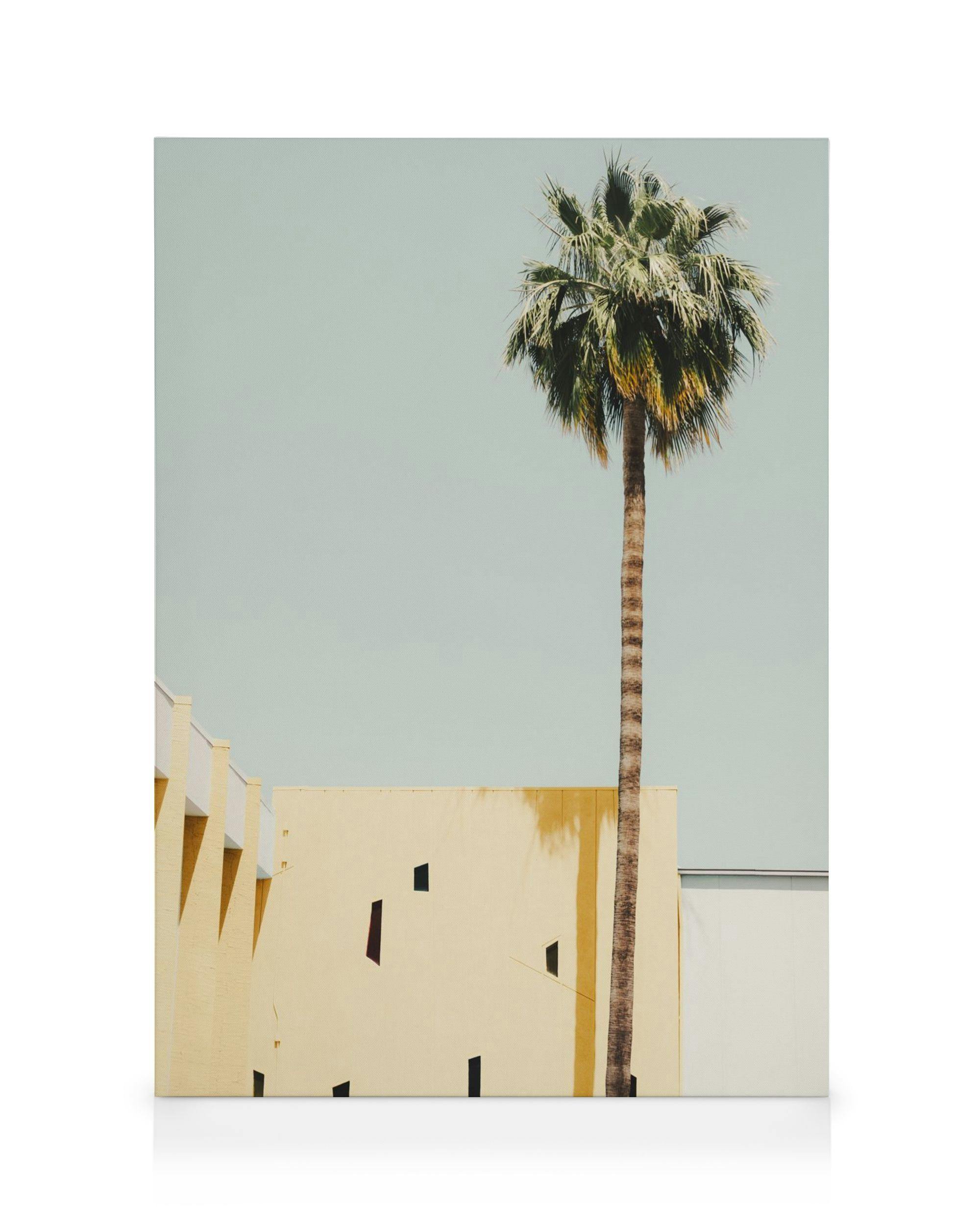 Canvas Prints Palm Springs Serenity Canvas print (50x70 cm)