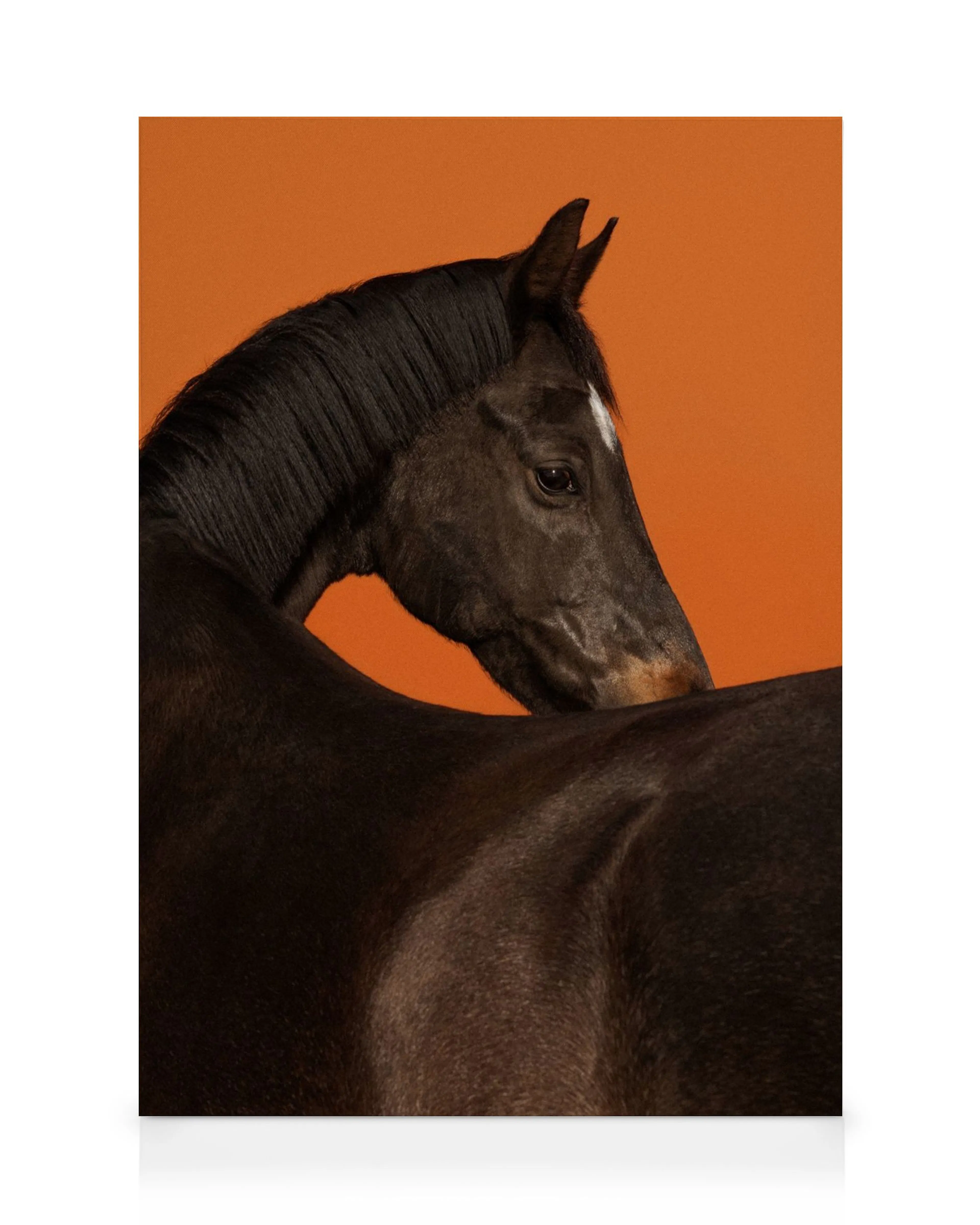 Product image: 1
