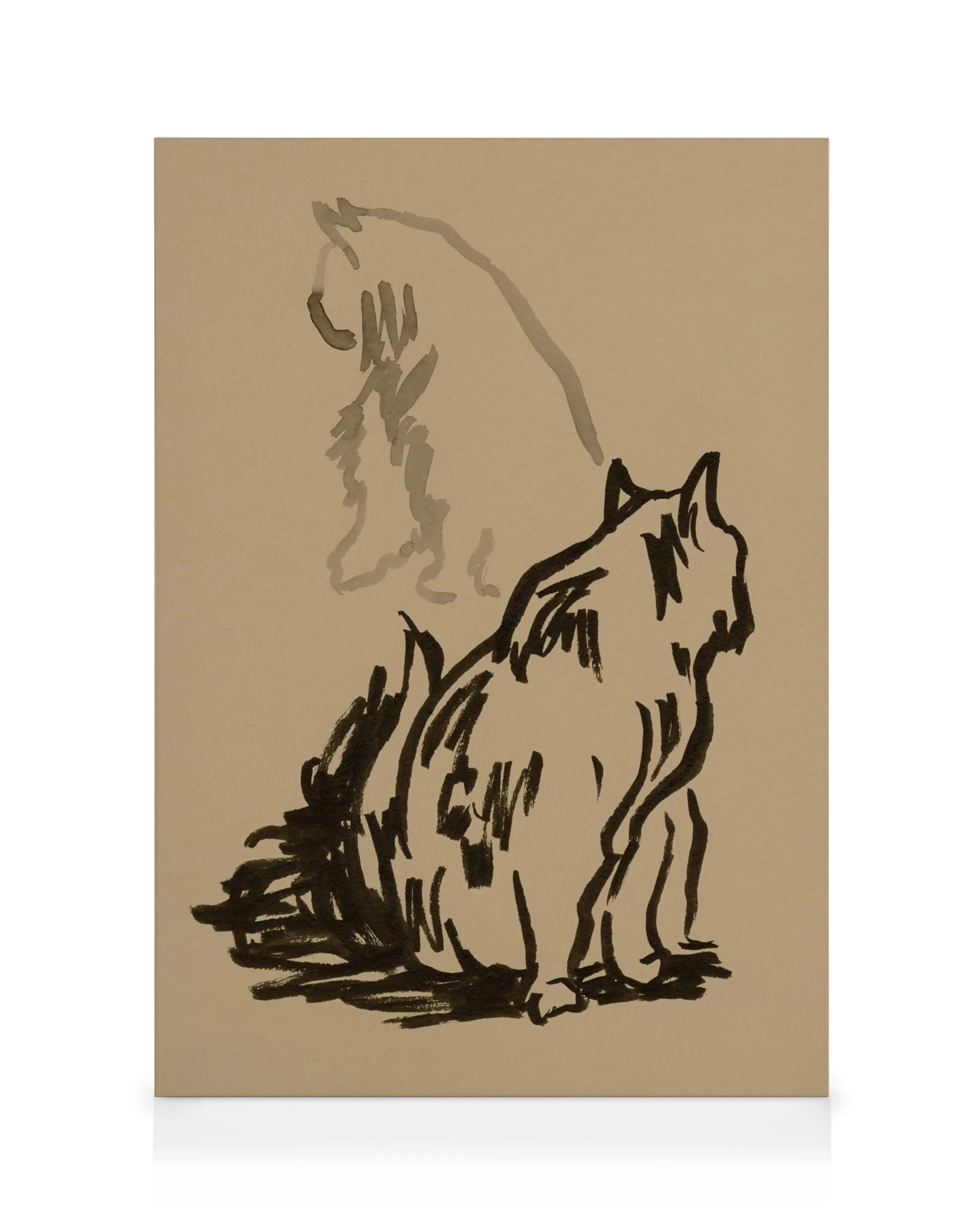 Study of Cat Leinwand 0