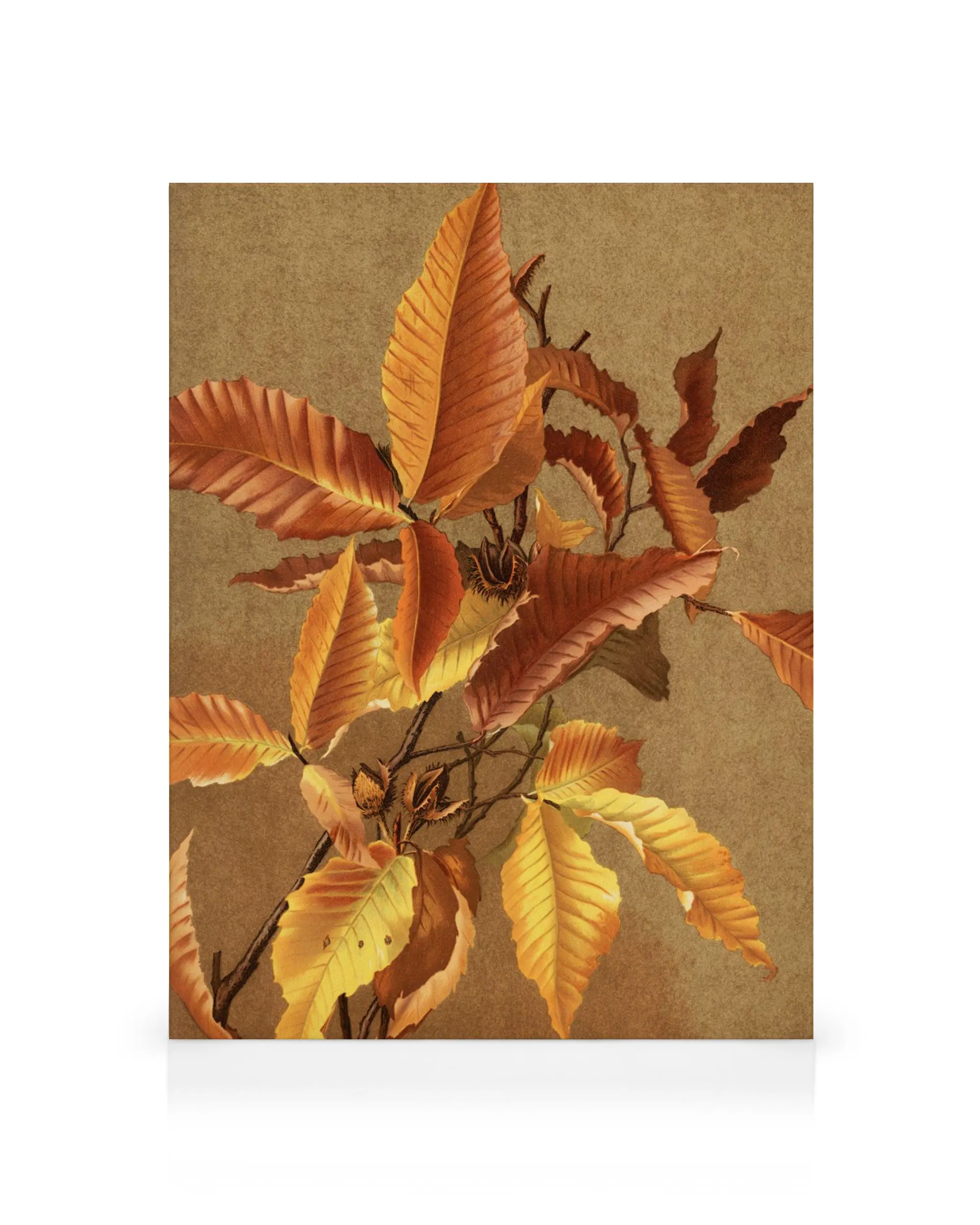 Product image: 1