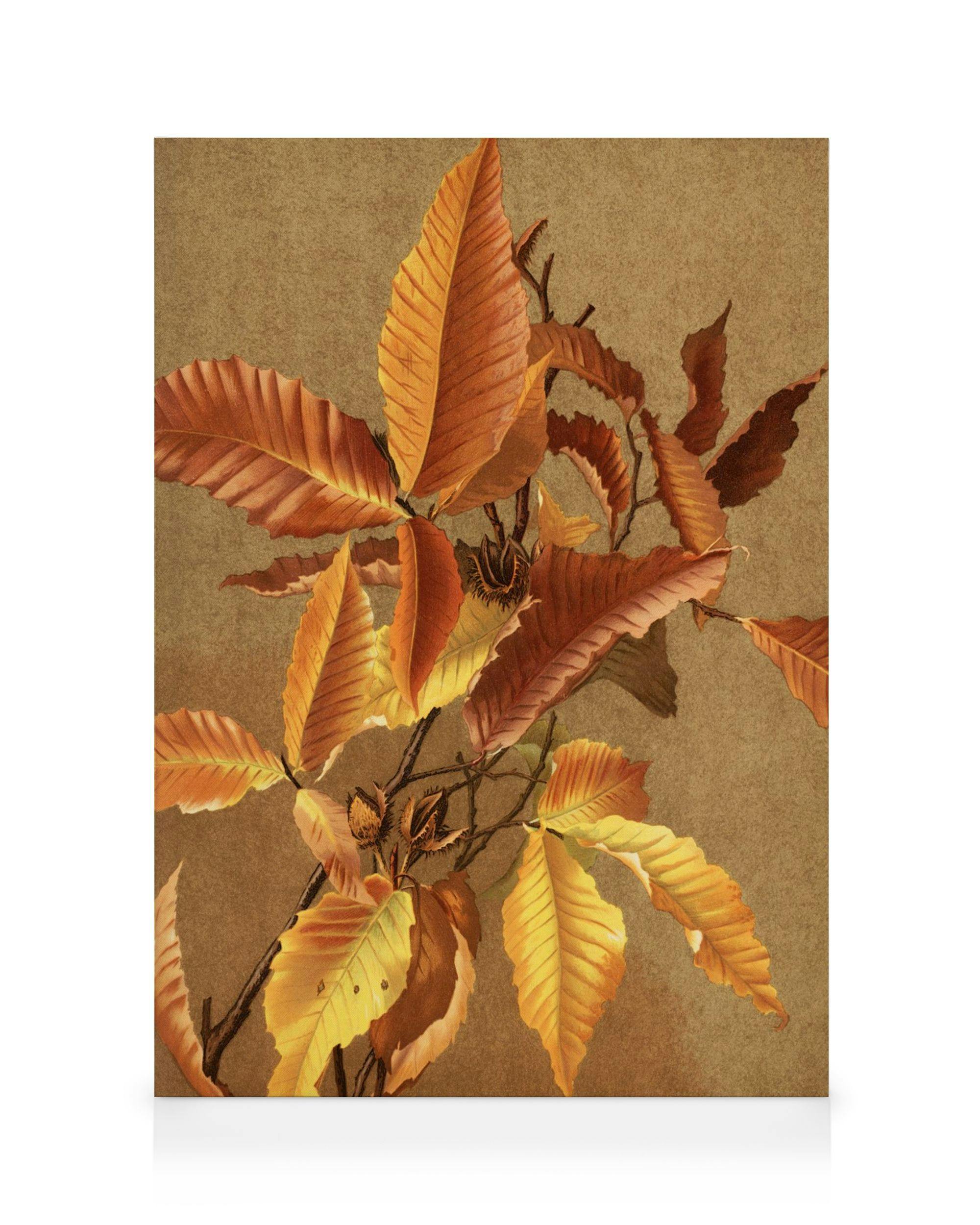 Autumn Branch Stampa su Tela (30x40 cm - Cornice in rovere)- Natura