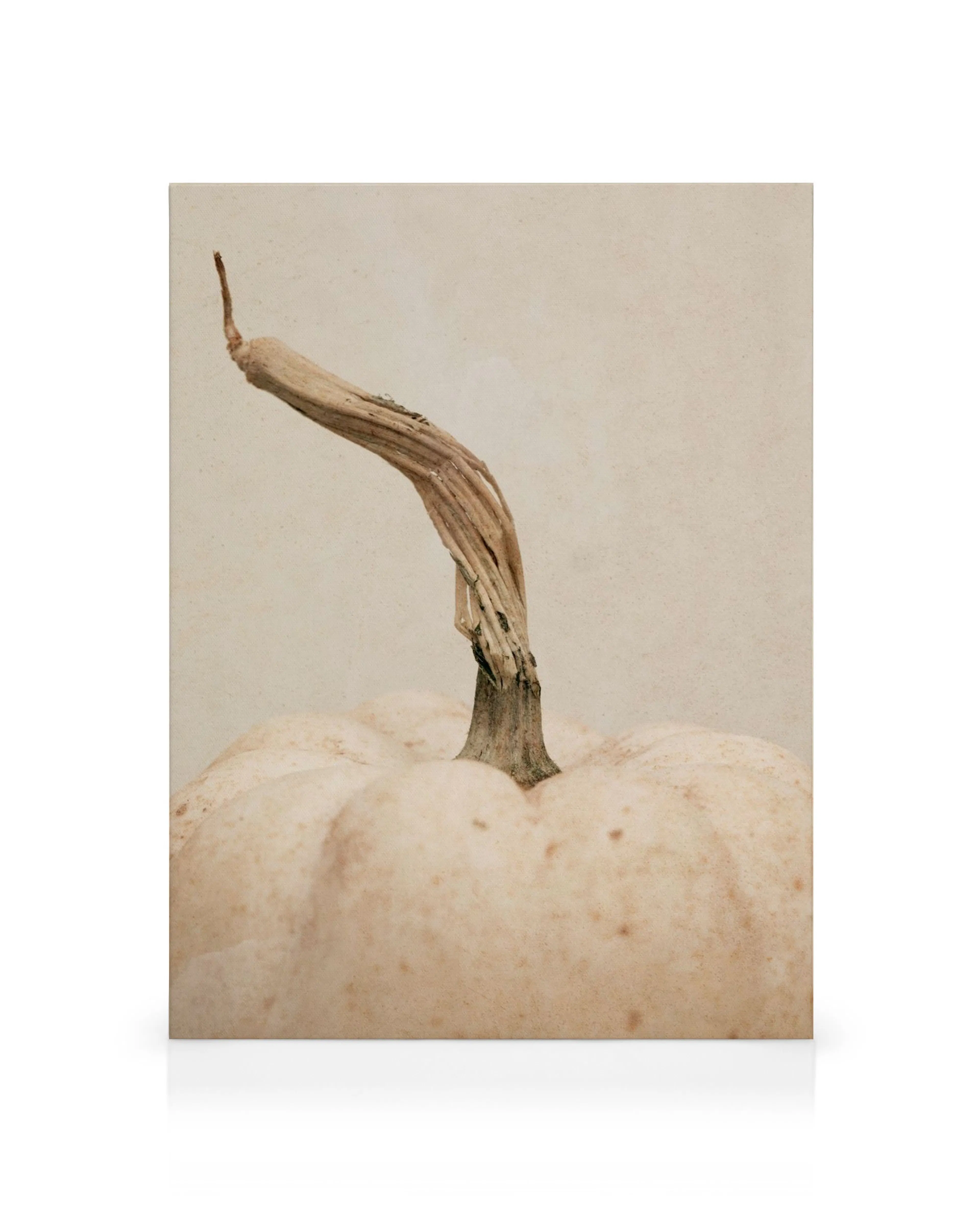 Product image: 1