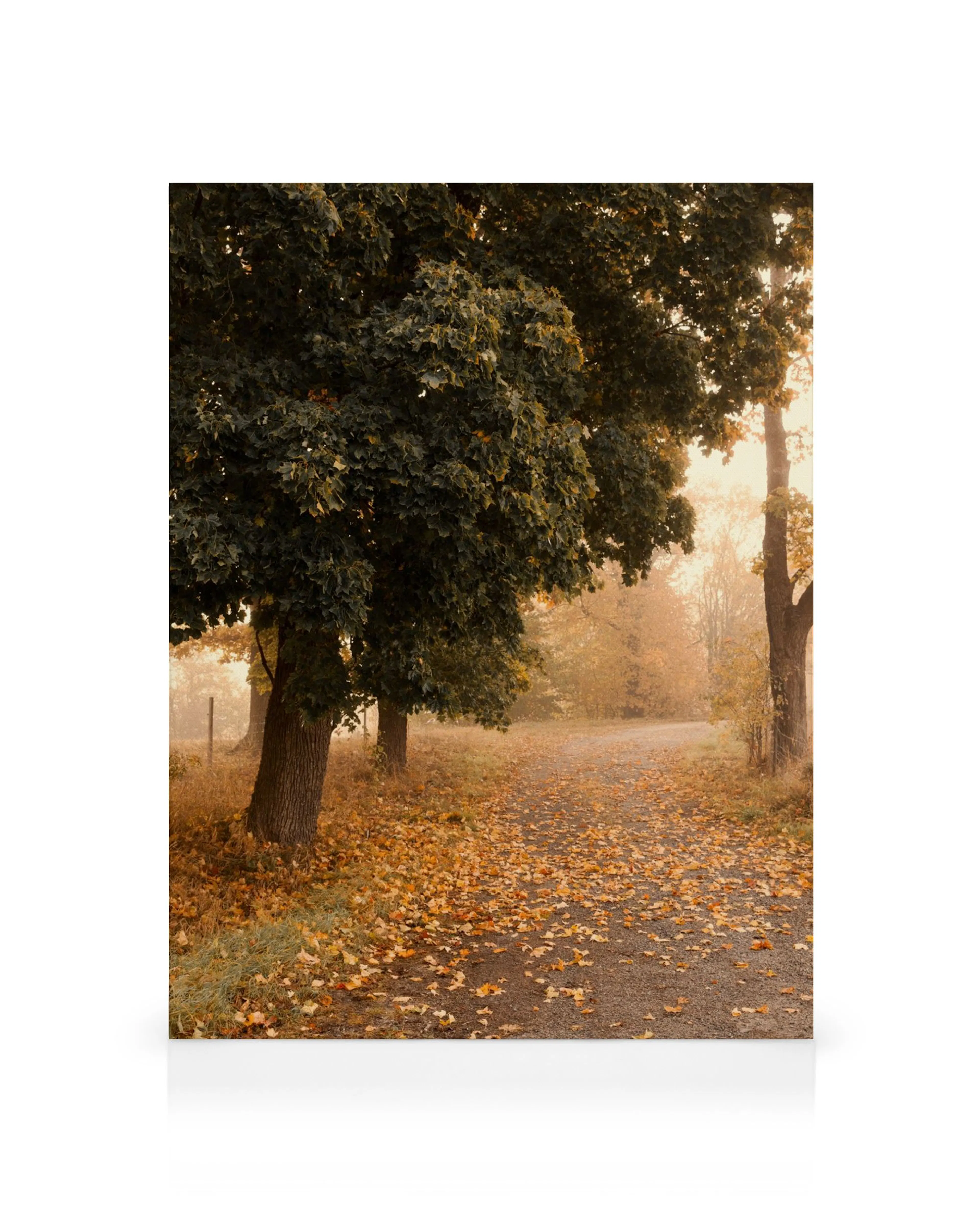 Product image: 1