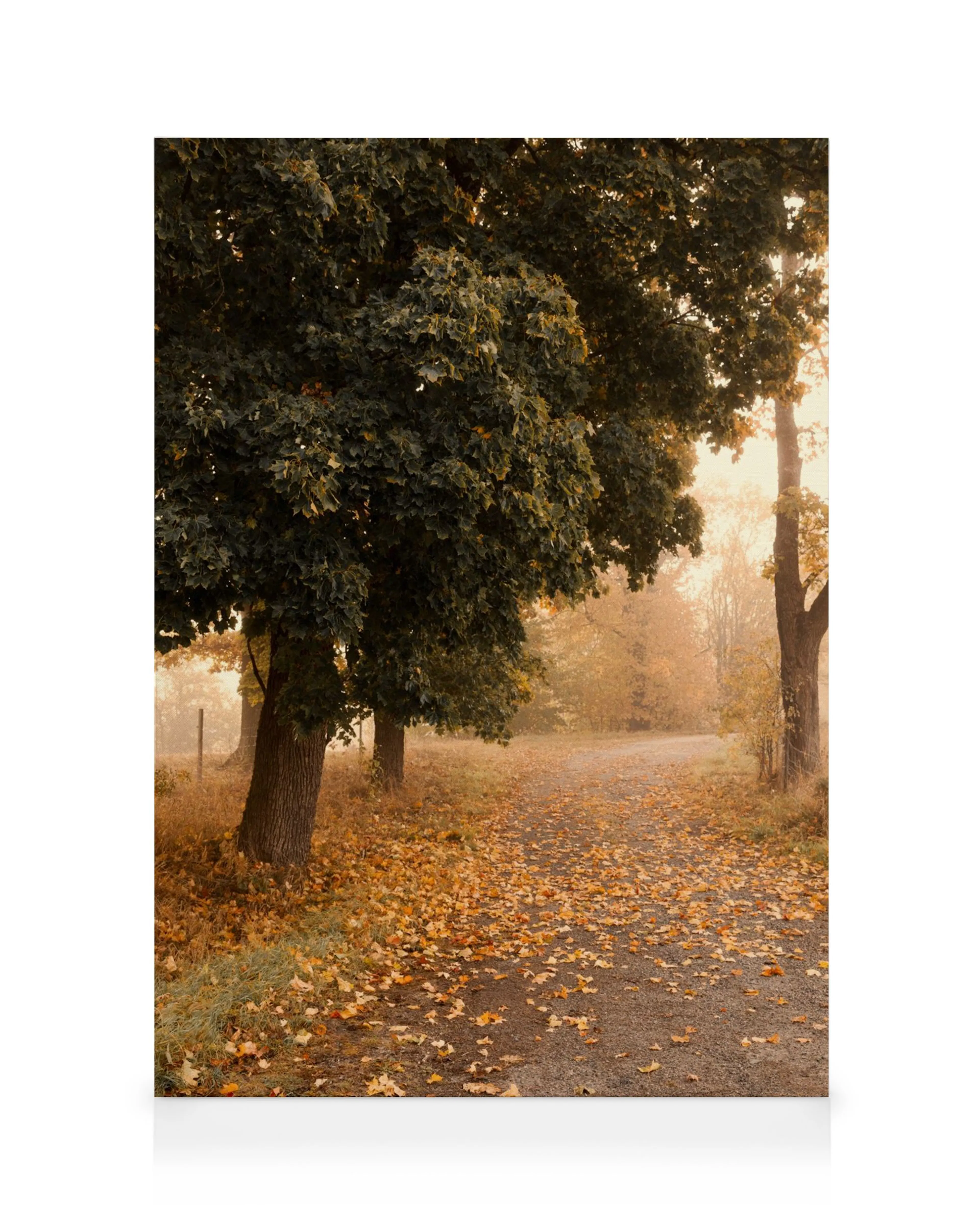 Autumn Stroll Canvastavla 0