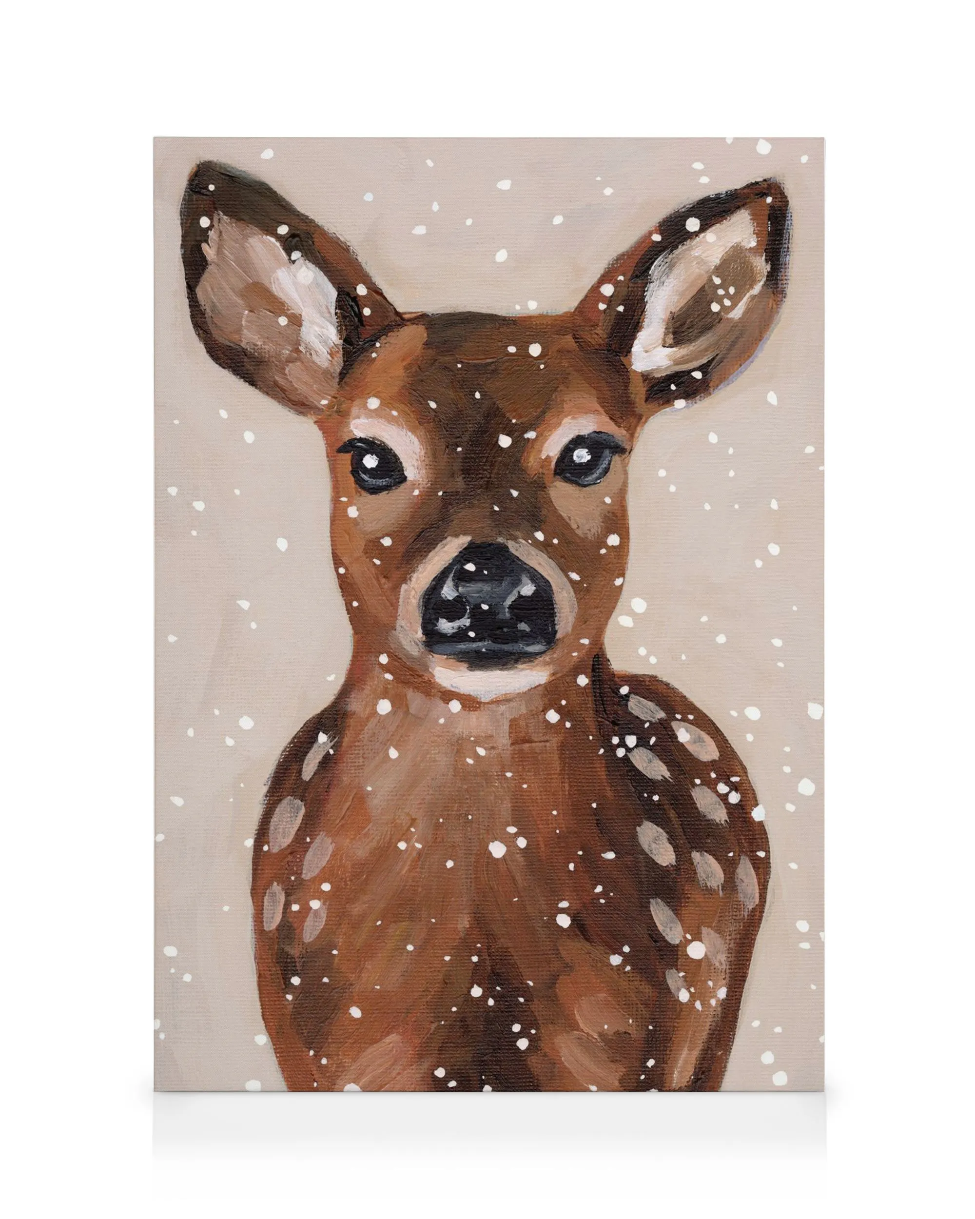 North Fawn Canvas print 0