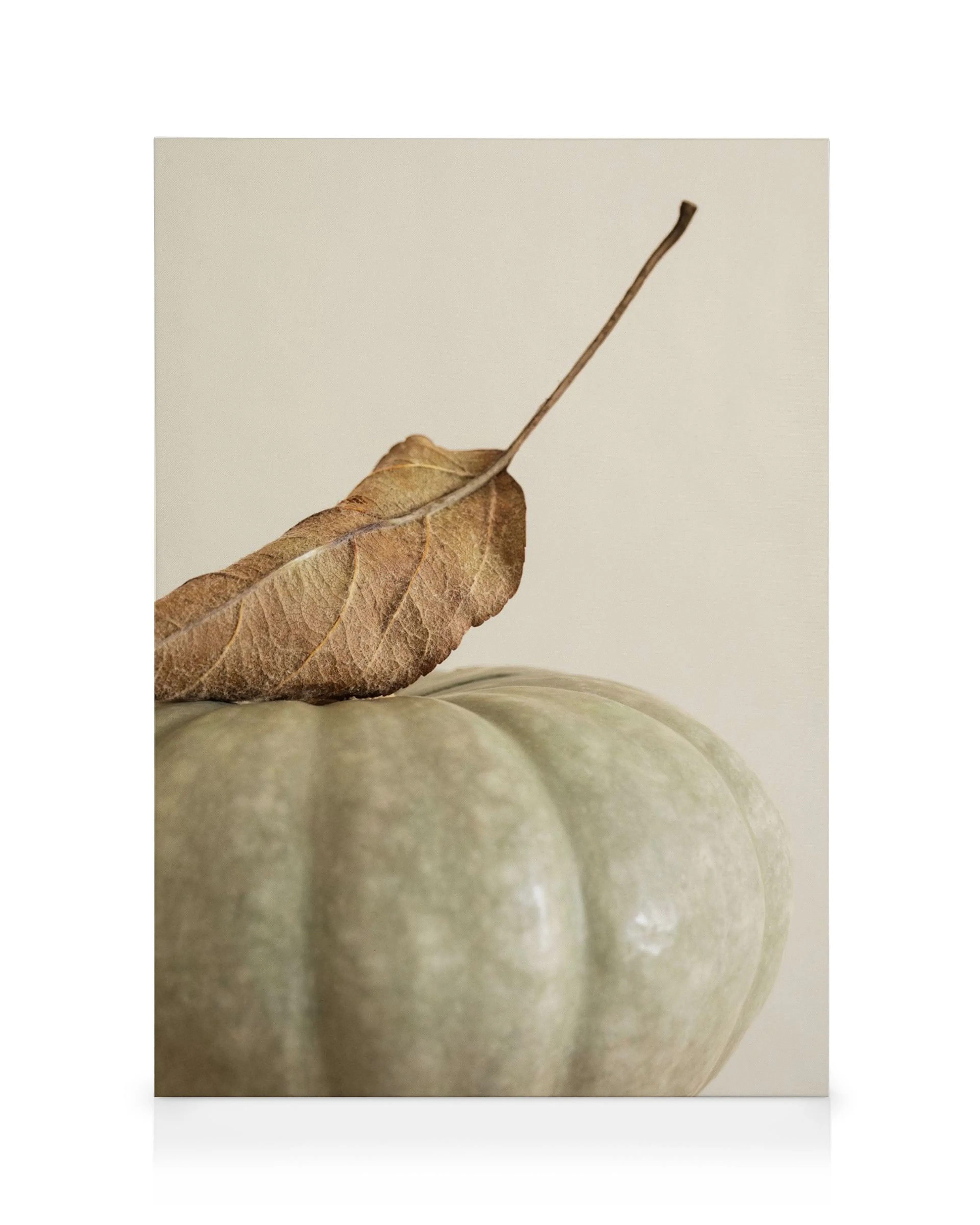 Autumn canvas print featuring a light green pumpkin and a brown leaf on a beige background, perfect for fall decor.