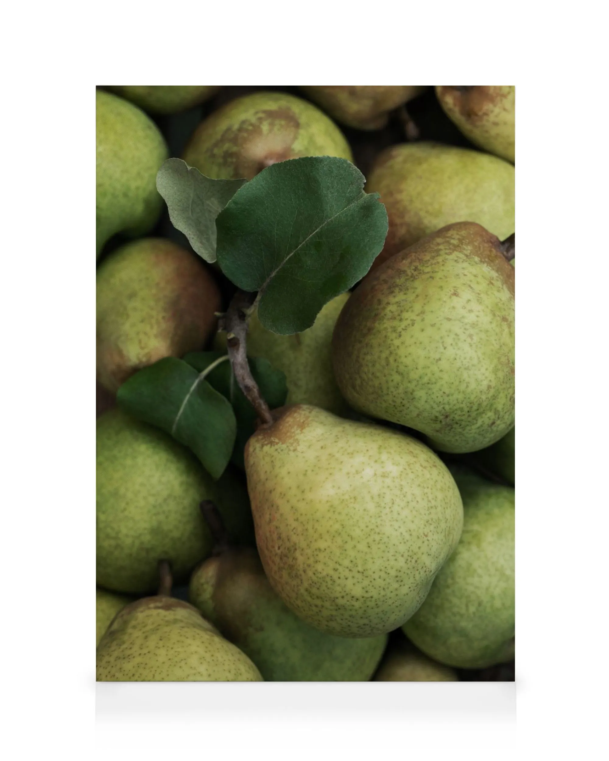 Canvas met close-up van groene peren met stelen en bladeren.