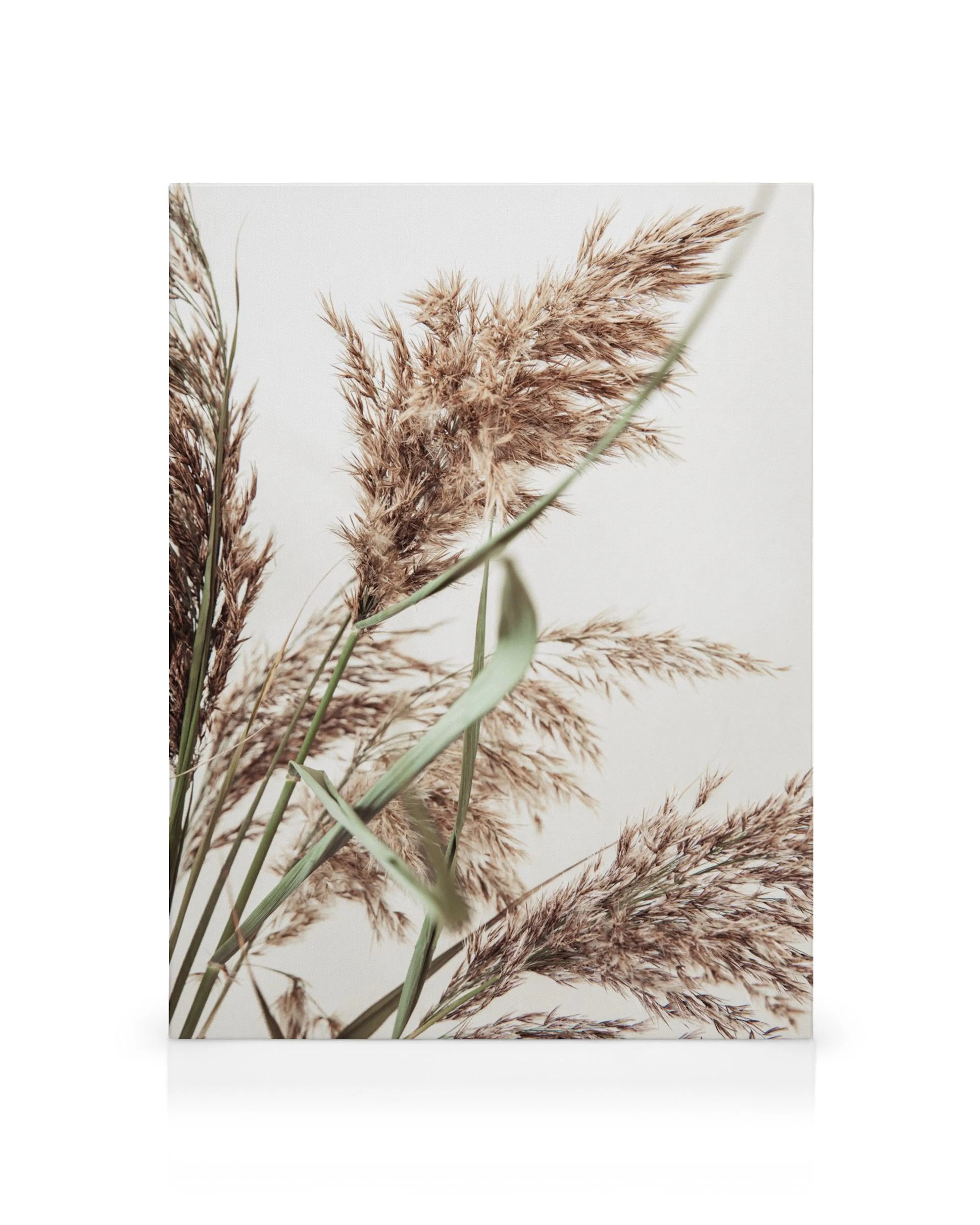 Vass och gröna blad på en ljusbeige bakgrund, naturinspirerad väggkonst.