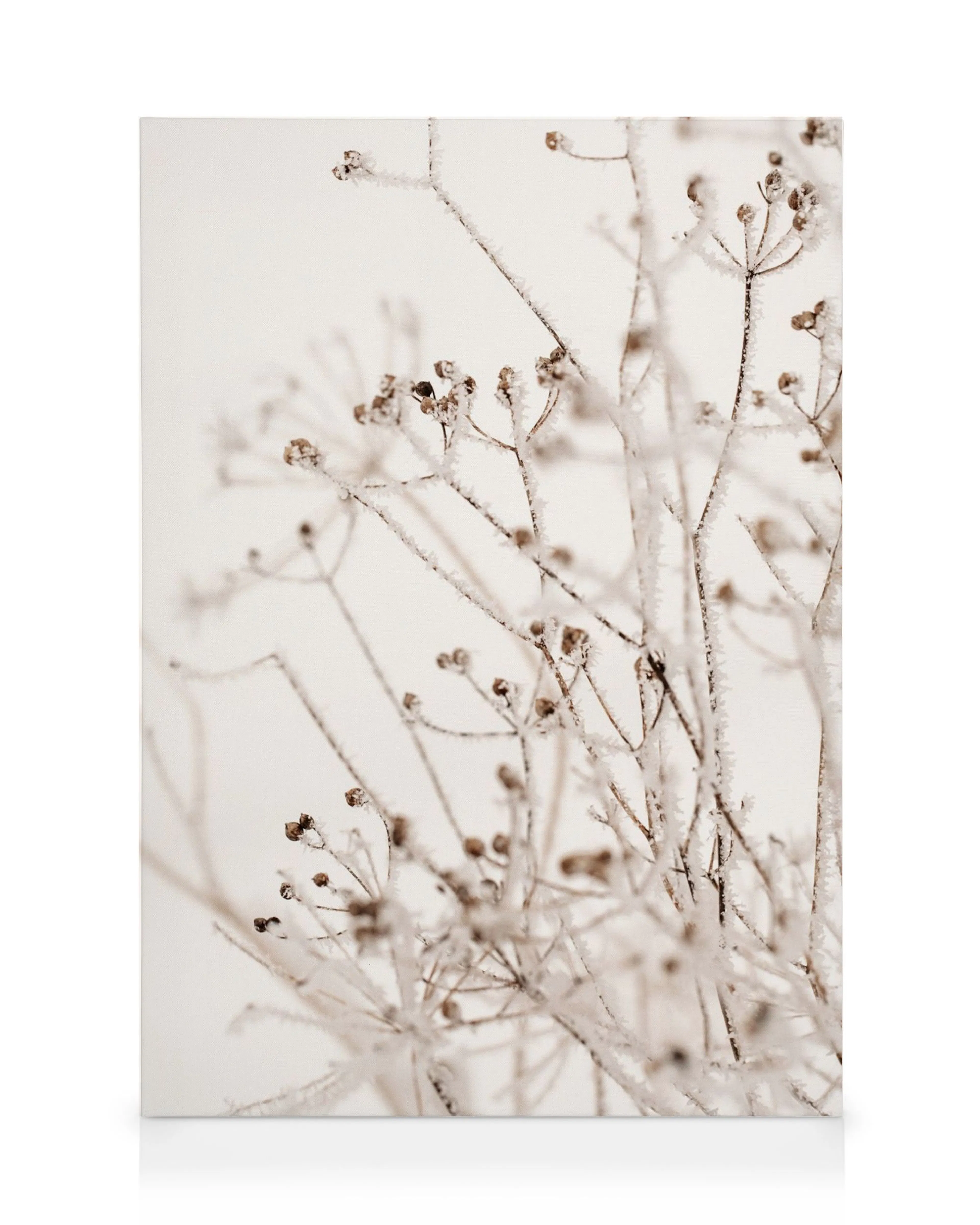A canvas print featuring frosted brown branches and delicate seed pods against a light background.
