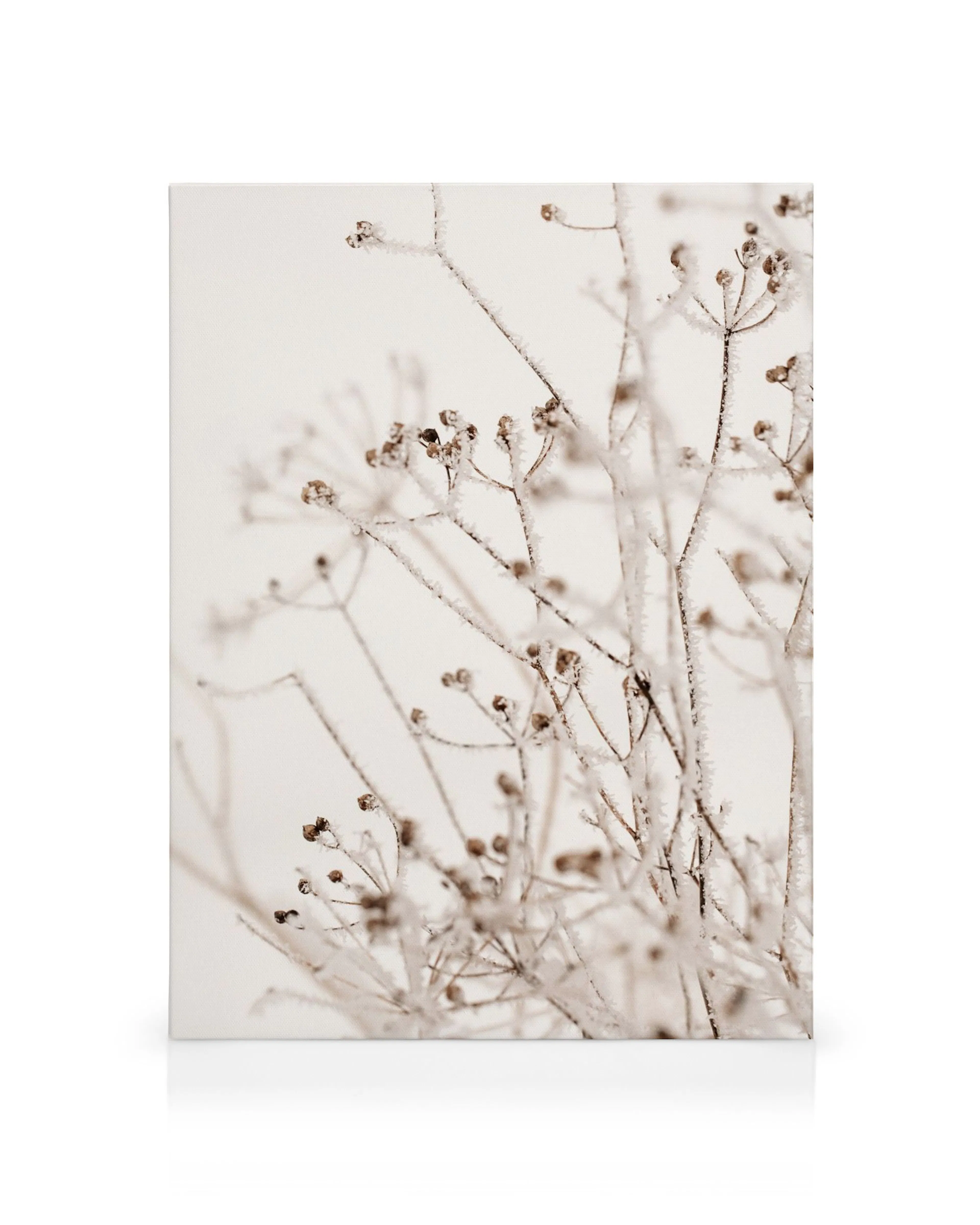 Tela decorativa com plantas secas cobertas de neve, com tons de branco e castanho, perfeita para ambientes serenos.
