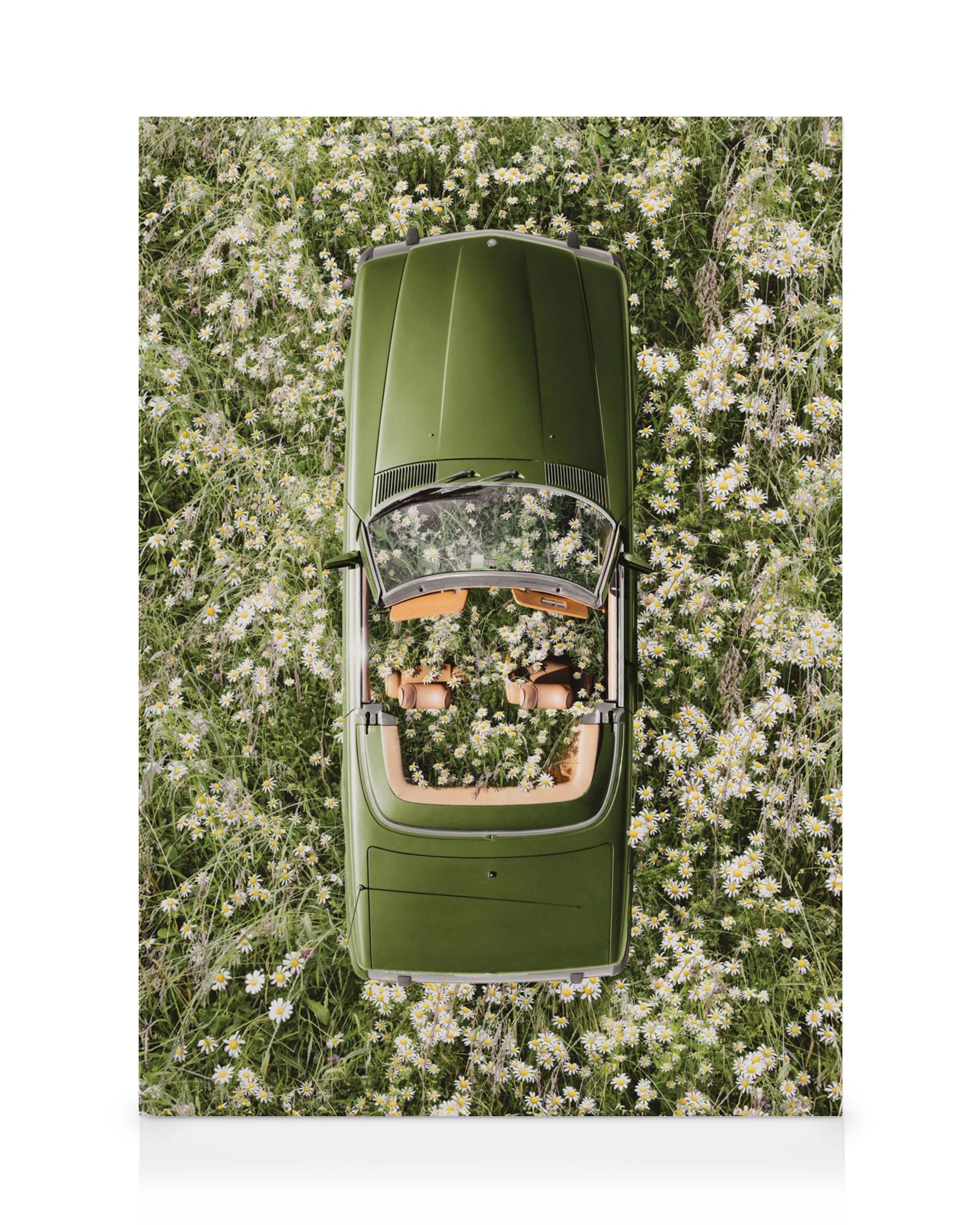 Toile dune voiture décapotable verte vue den haut, remplie de marguerites blanches et jaunes dans un champ fleuri.