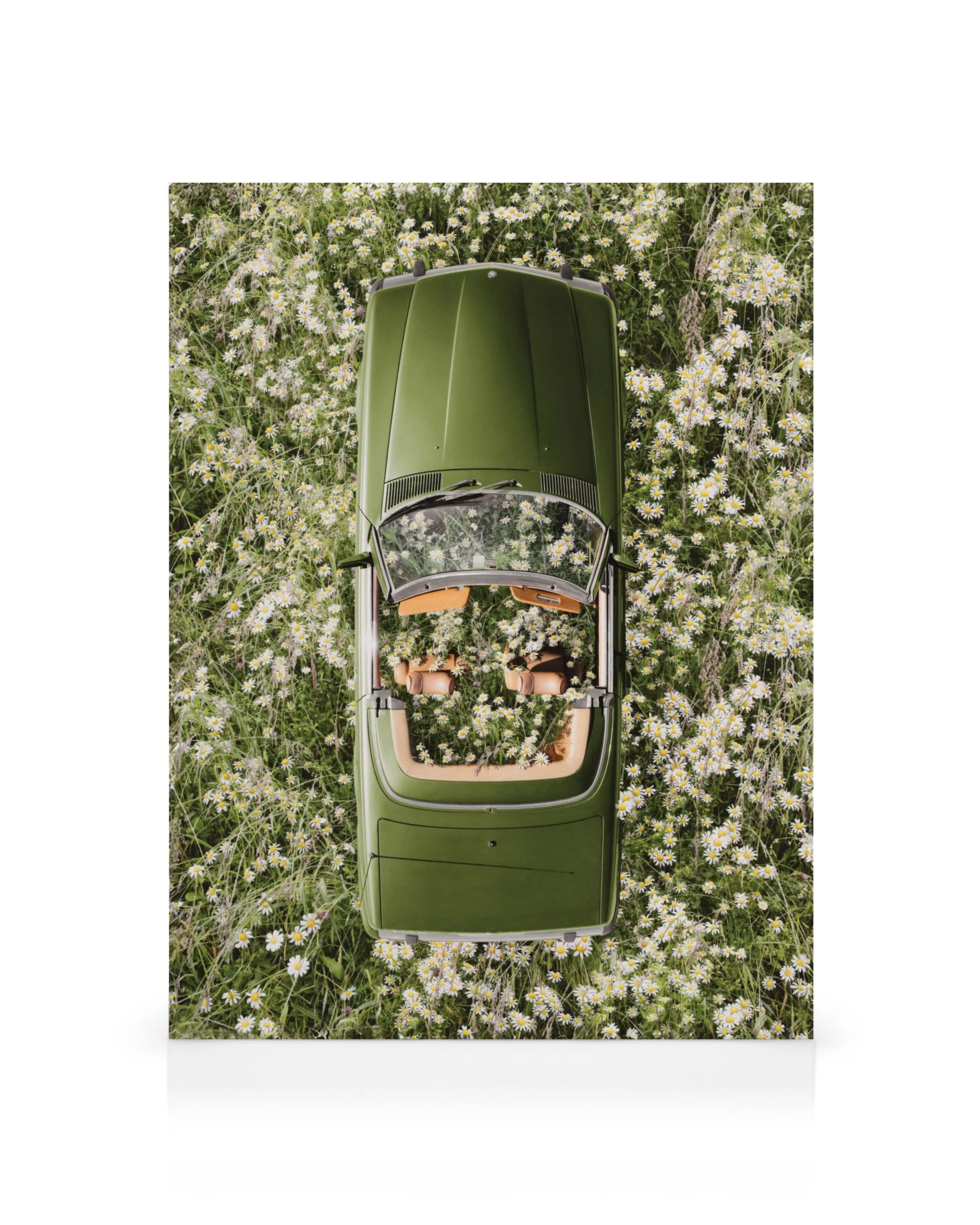 Toile dune voiture verte décapotable couverte de marguerites blanches dans un champ fleuri.