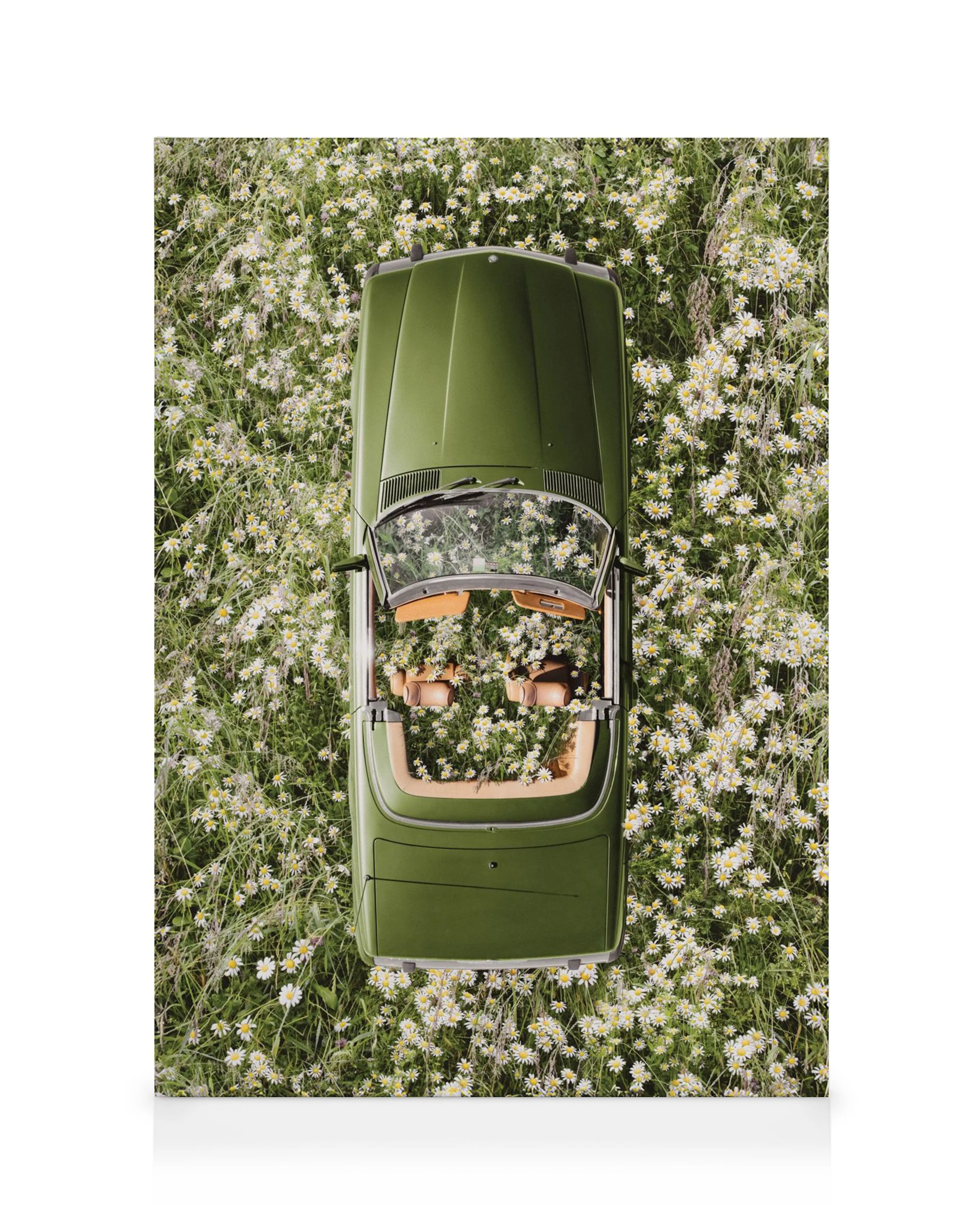 Tela decorativa com vista aérea de um carro verde-oliva sem capota, rodeado por um campo de margaridas brancas.