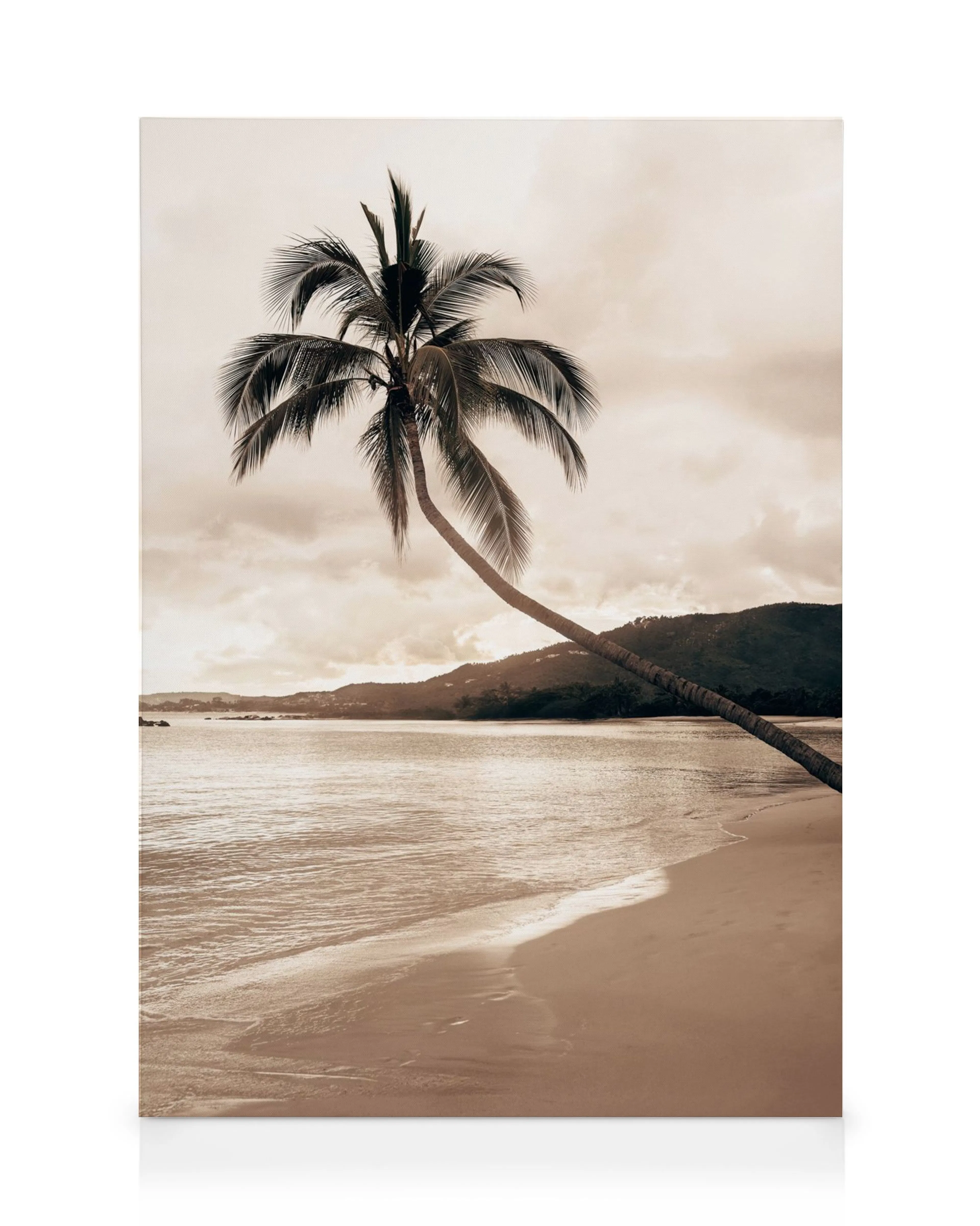 Leinwandbild mit einer seitlich geneigten Palme am Strand und sanften Wellen in Sepia-Tönen.