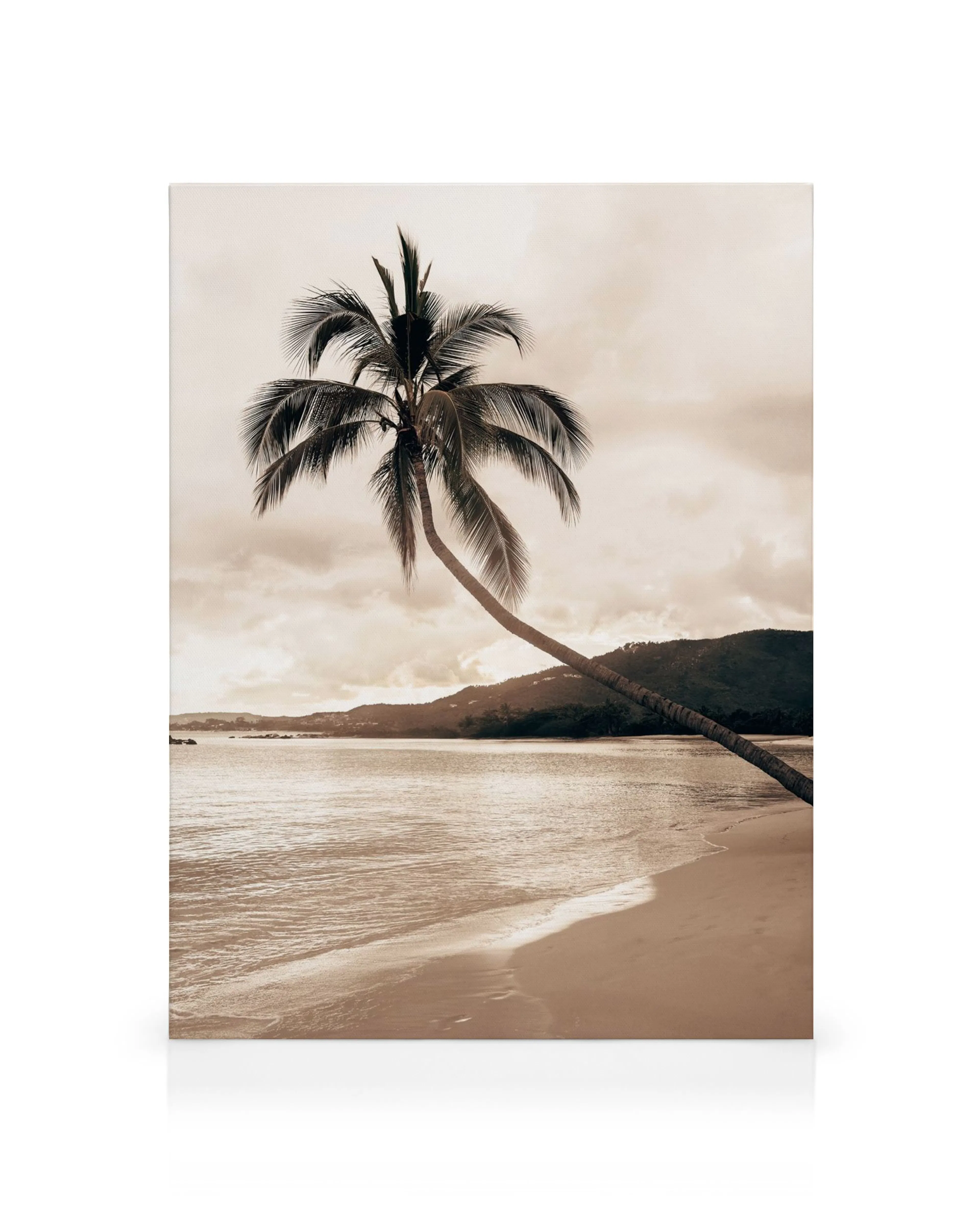Leinwandbild mit einer schräg wachsenden Palme am Strand bei Sonnenuntergang in Sepia-Tönen.