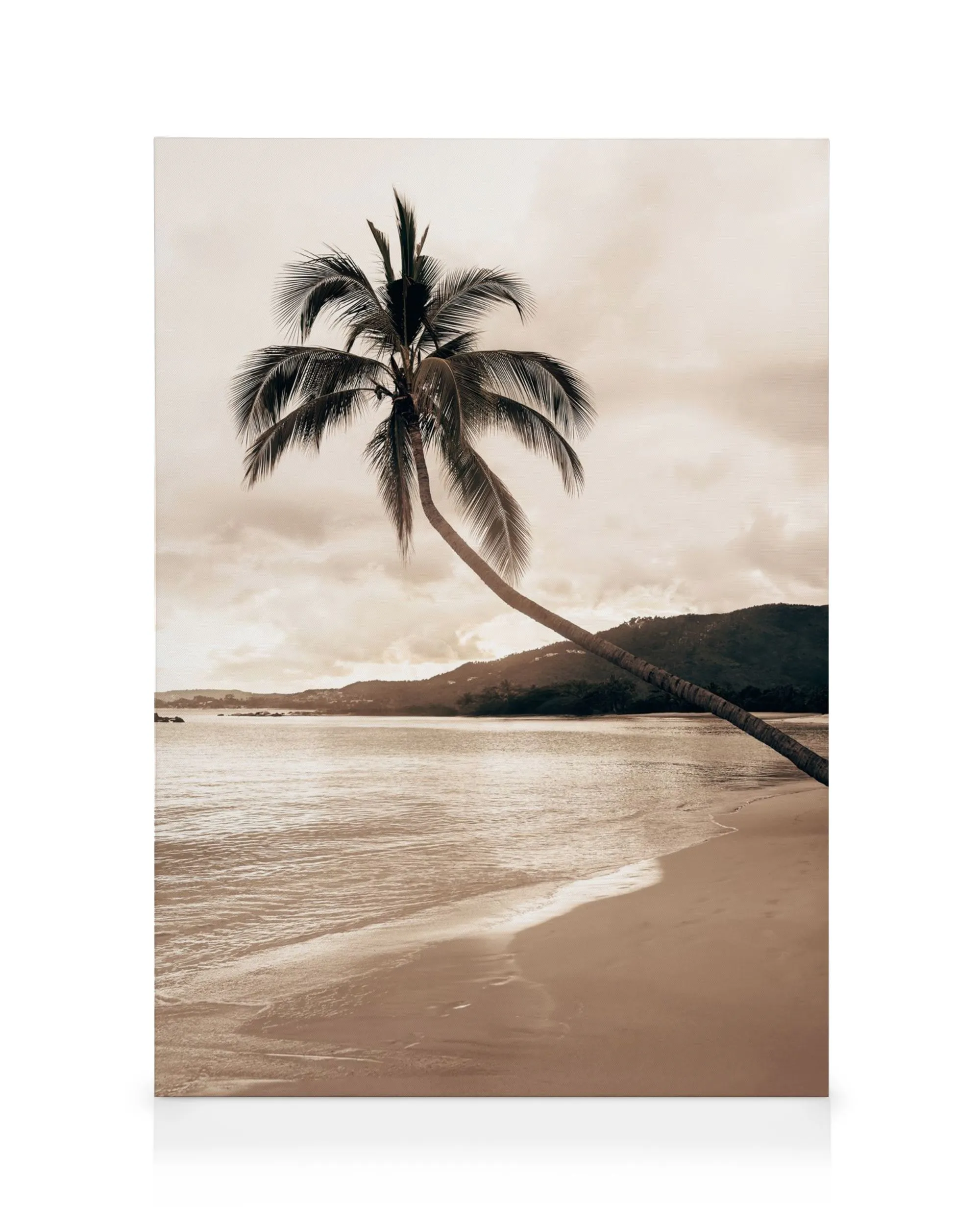 Lienzo de una palmera inclinada sobre una playa de arena clara con el mar y una montaña al fondo, en tonos sepia.