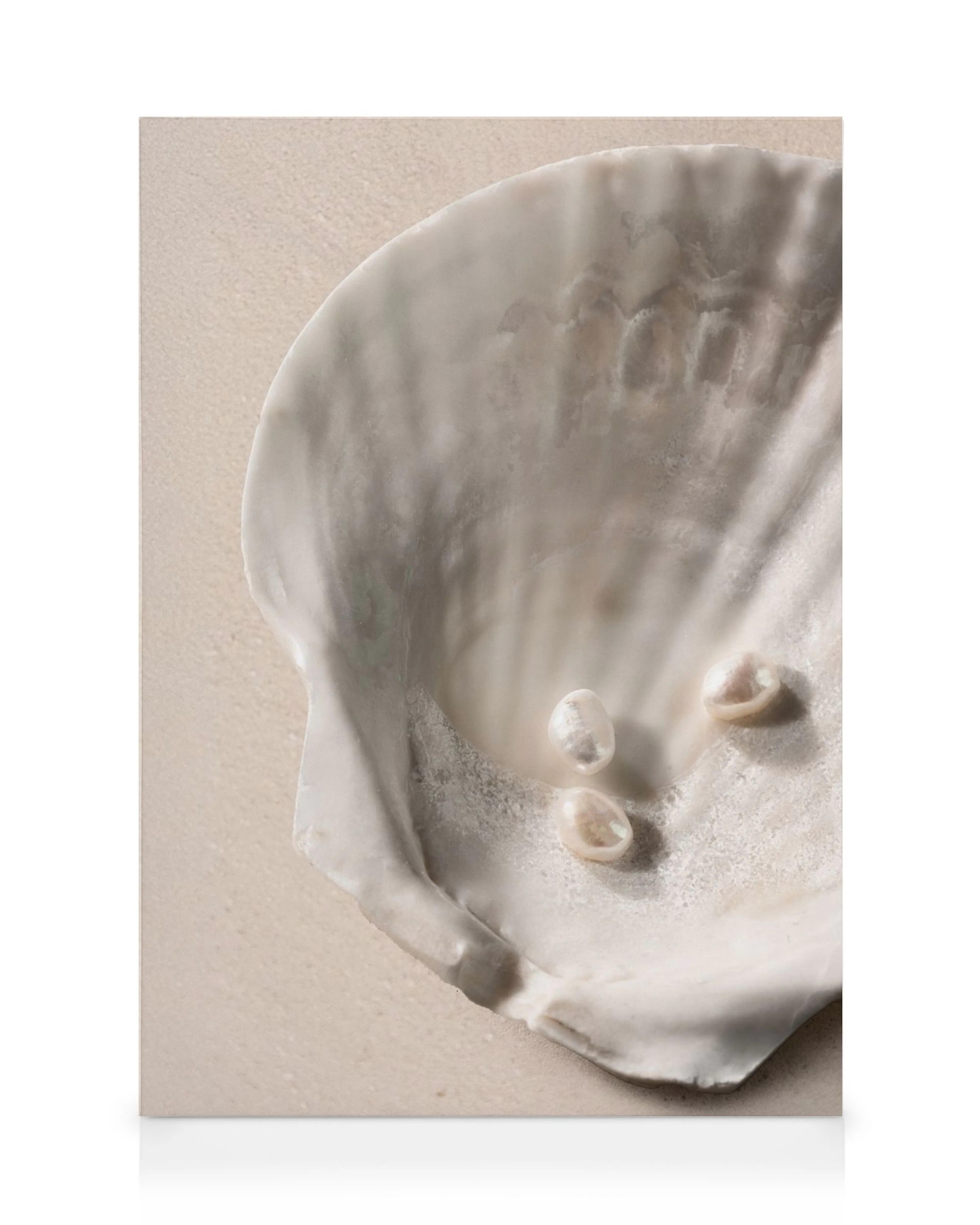 Toile représentant une coquille dhuître blanche ouverte avec trois perles nacrées sur un fond beige sable.