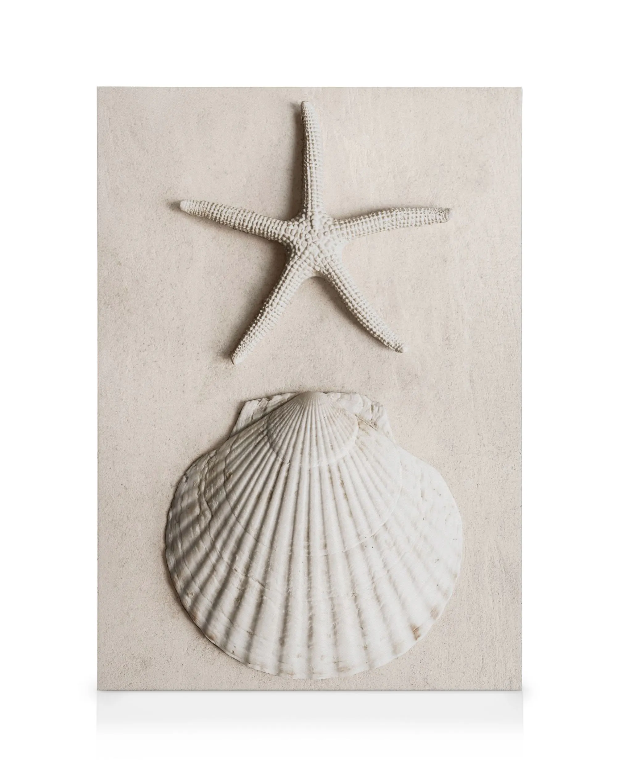 Lienzo de una estrella de mar blanca y una concha de vieira sobre arena clara.