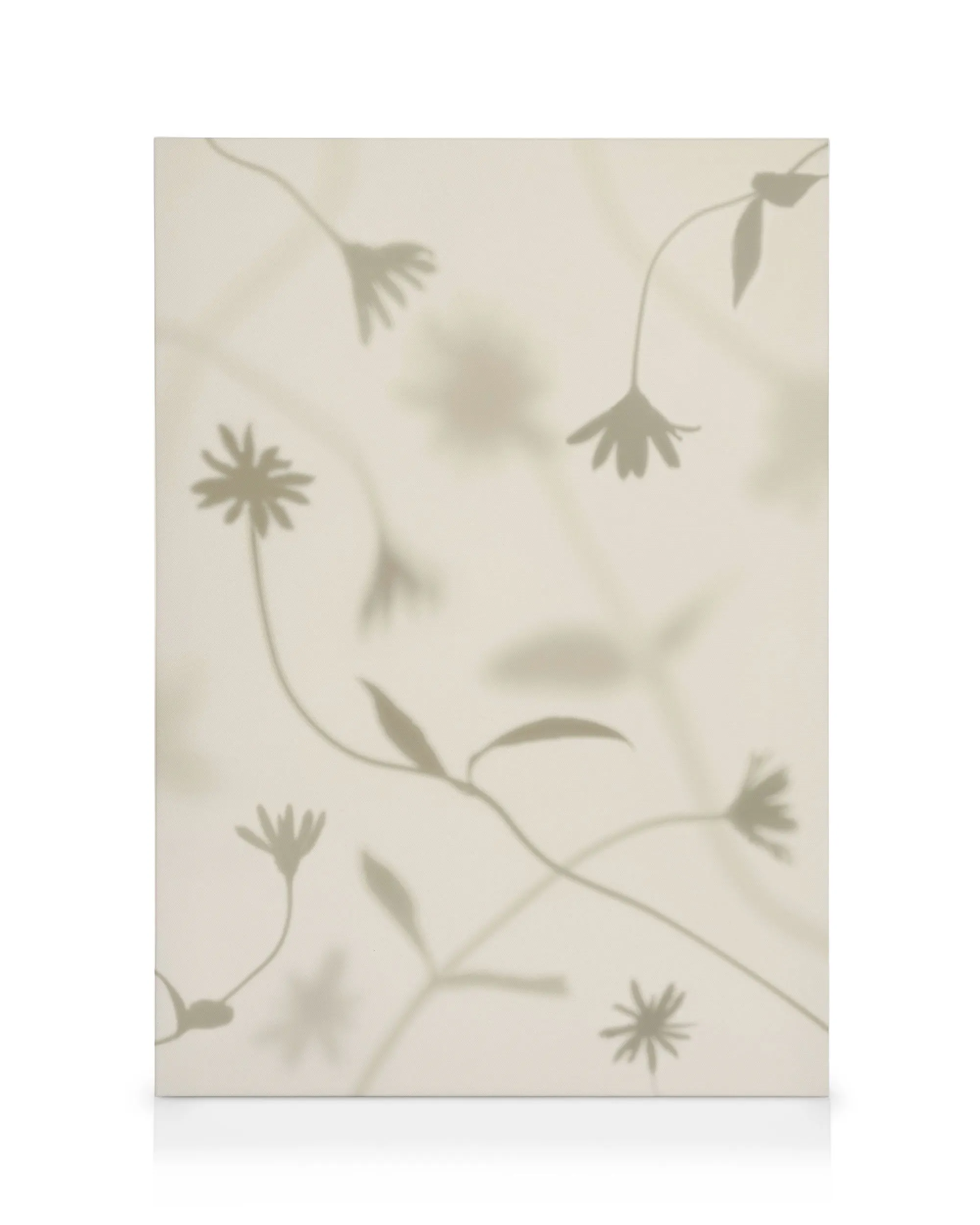 Petal Shadows Lienzo 0