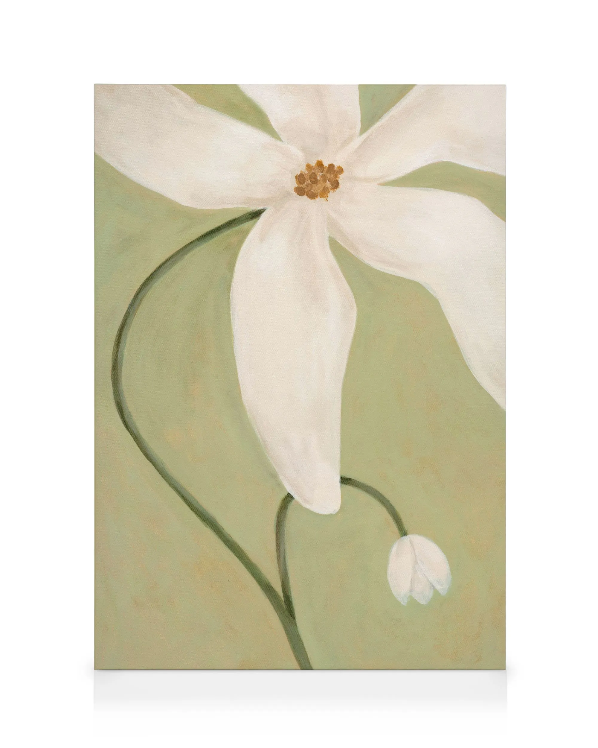 Still Blooming Lienzo 0