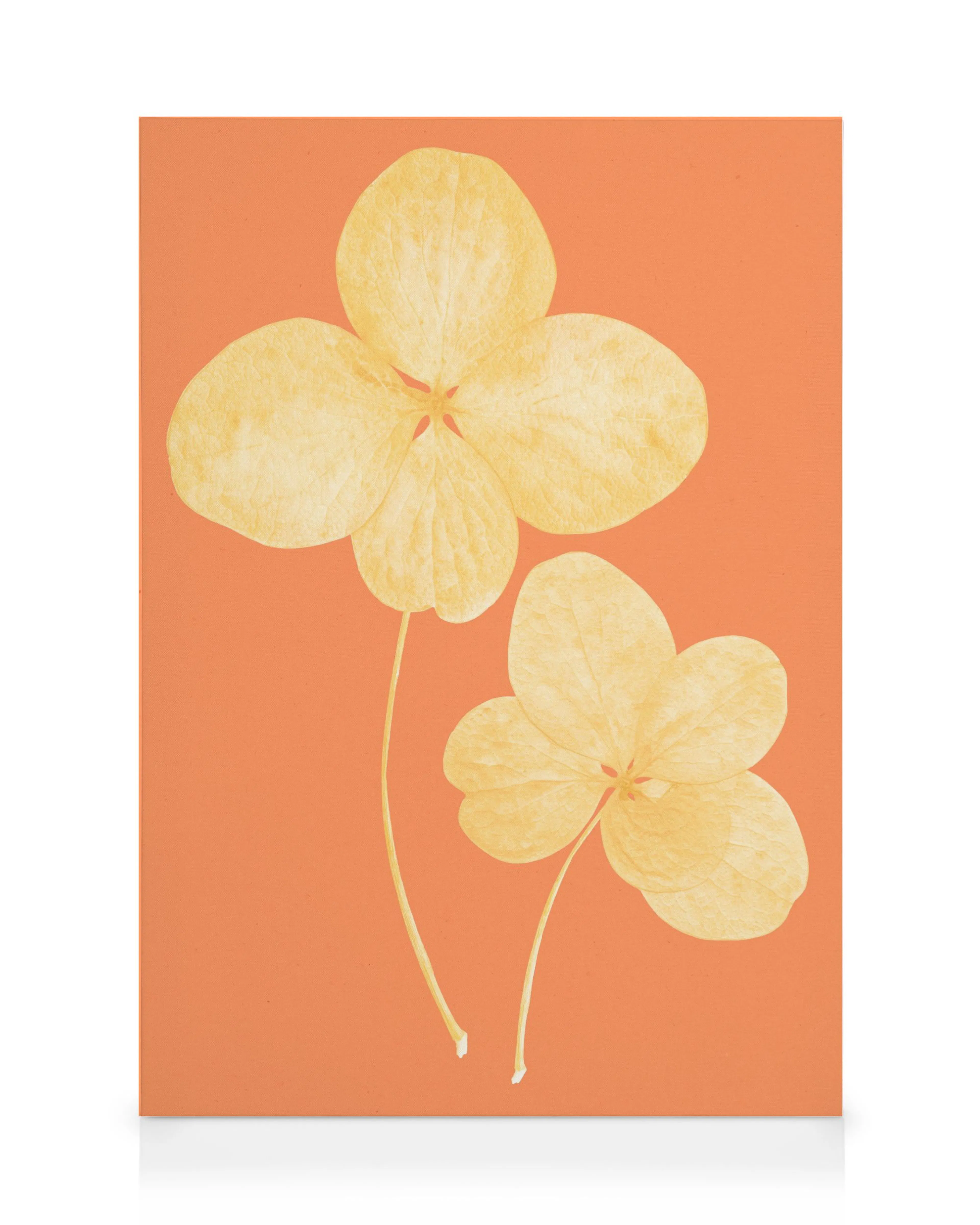 Product image: 1