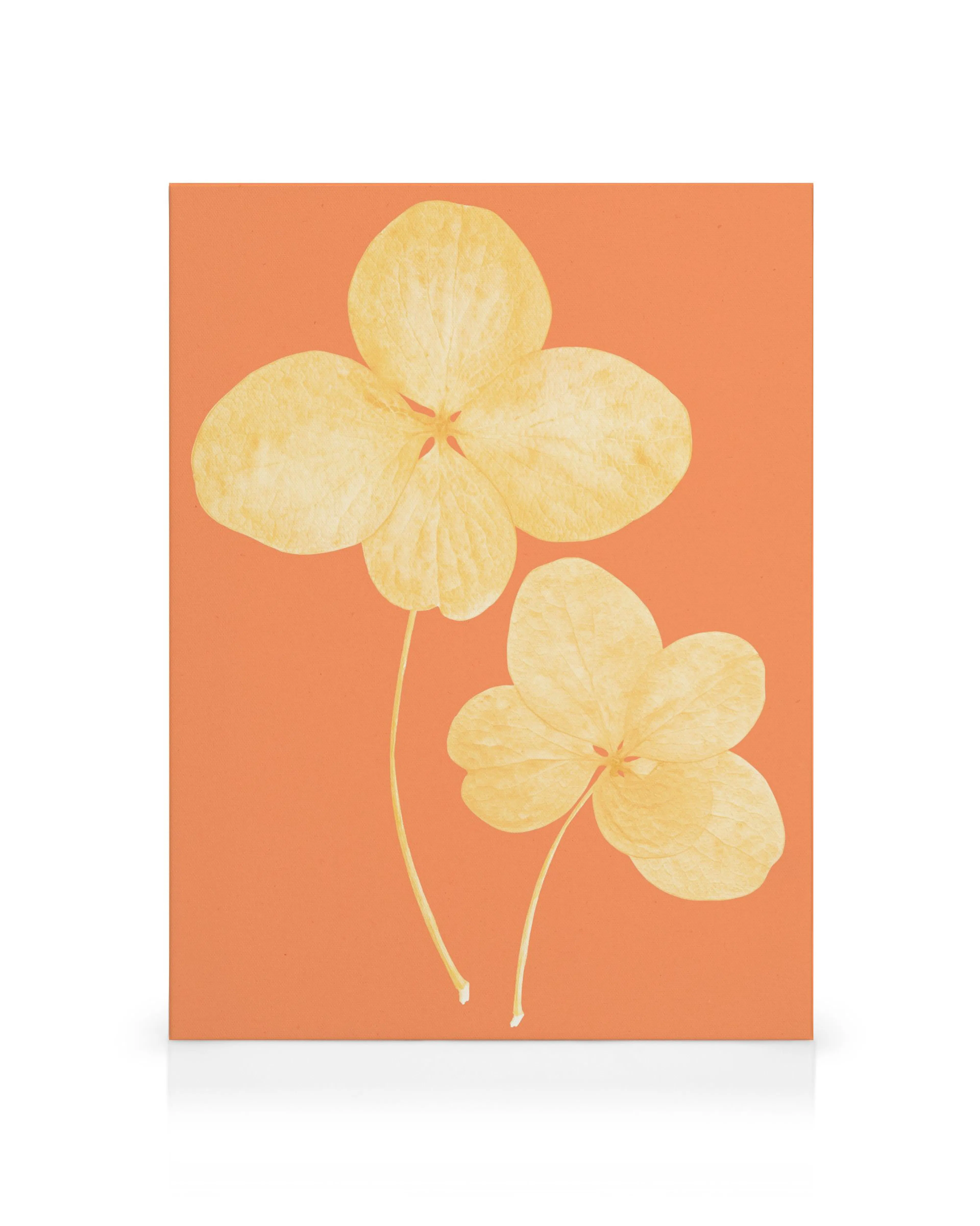 Product image: 1