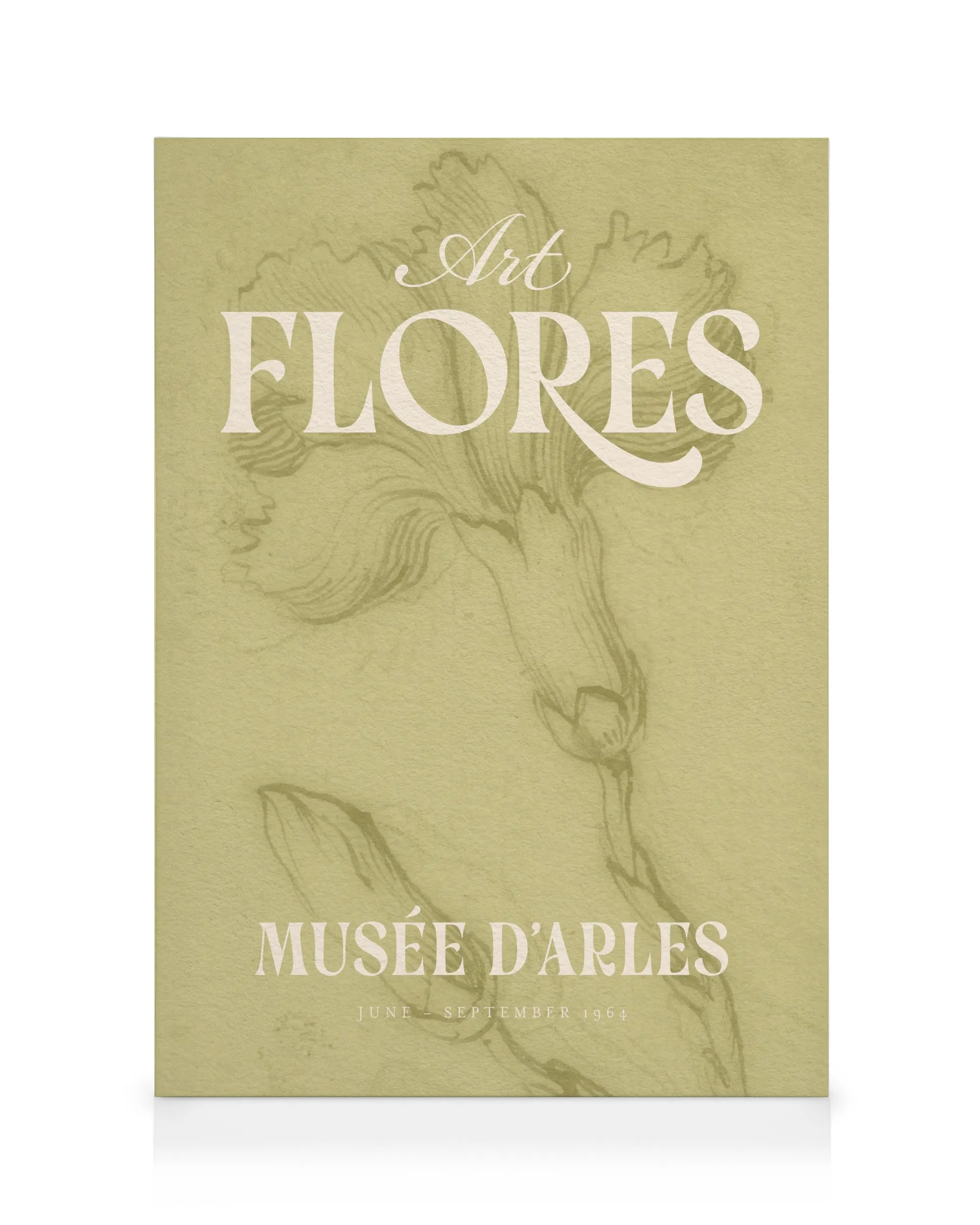 Art Flores Lienzo 0
