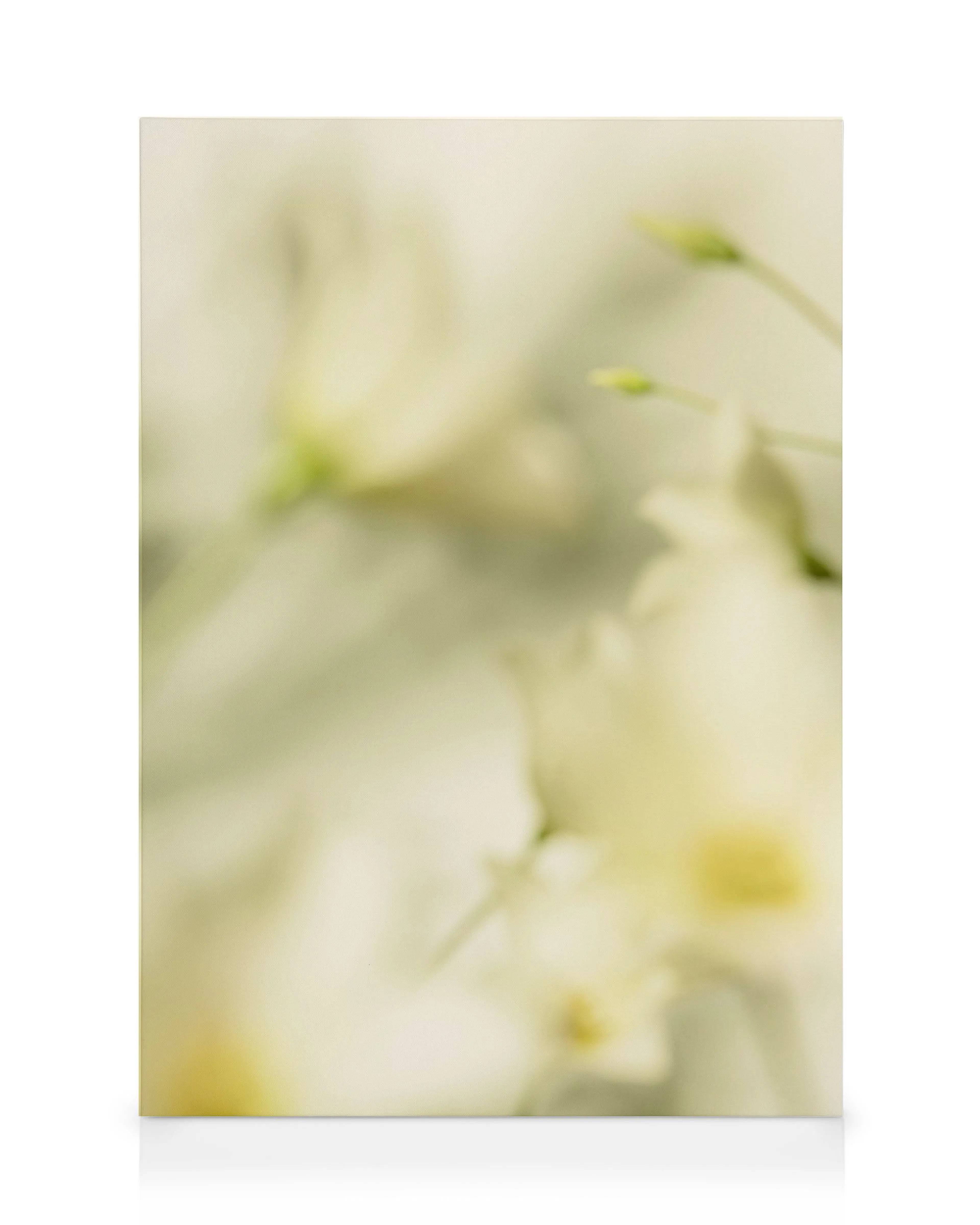 Product image: 1