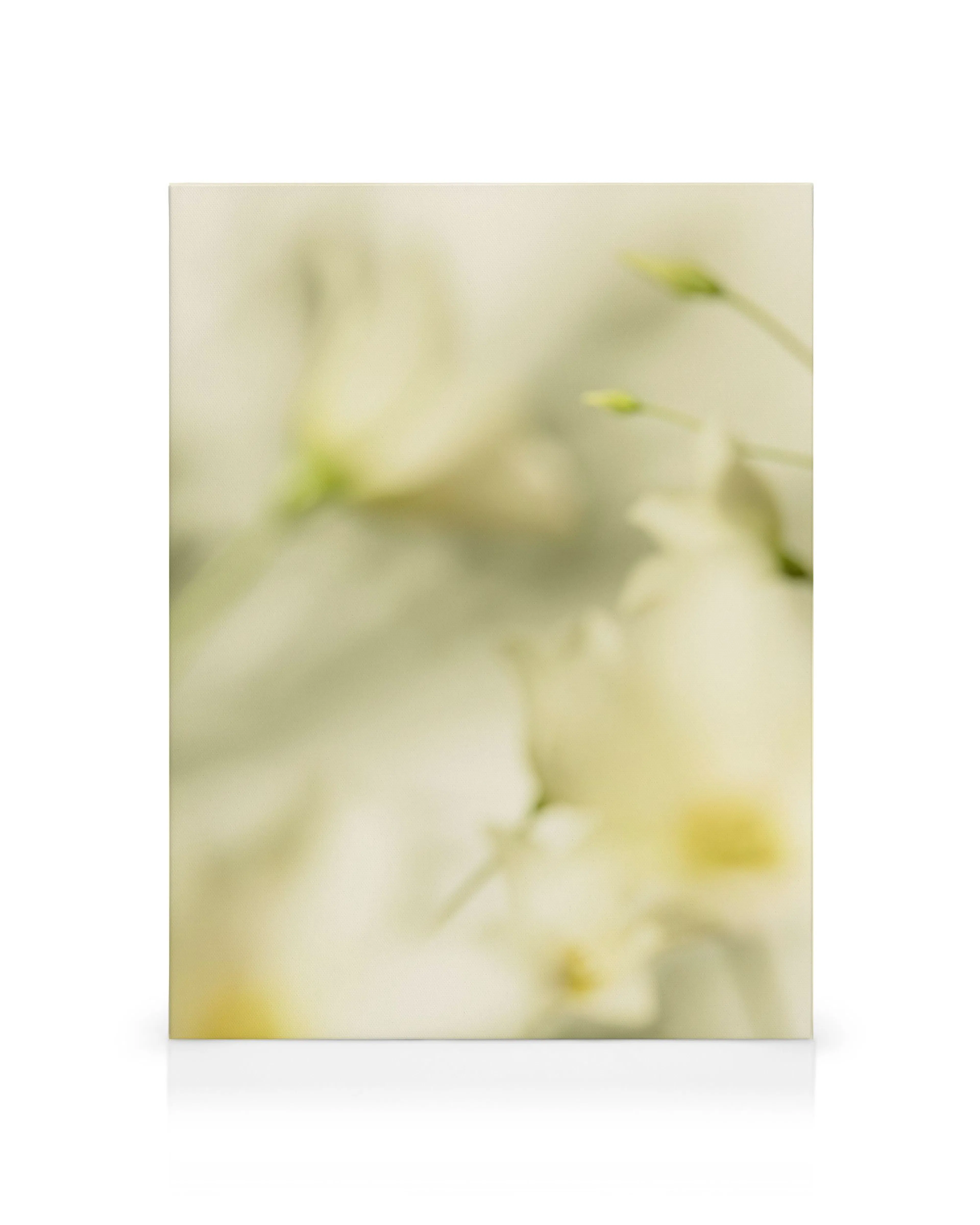 Product image: 1