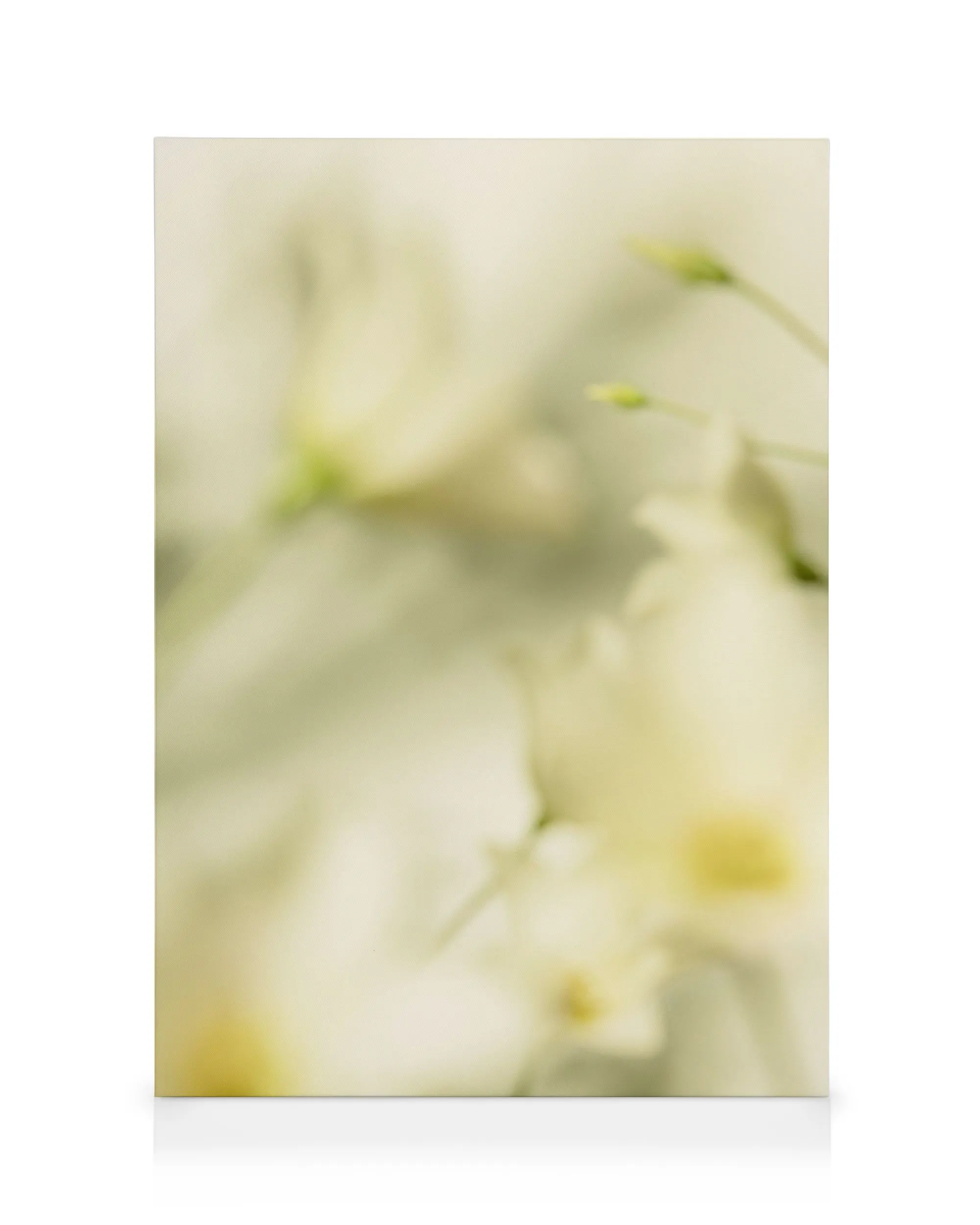 Flourish Lienzo 0
