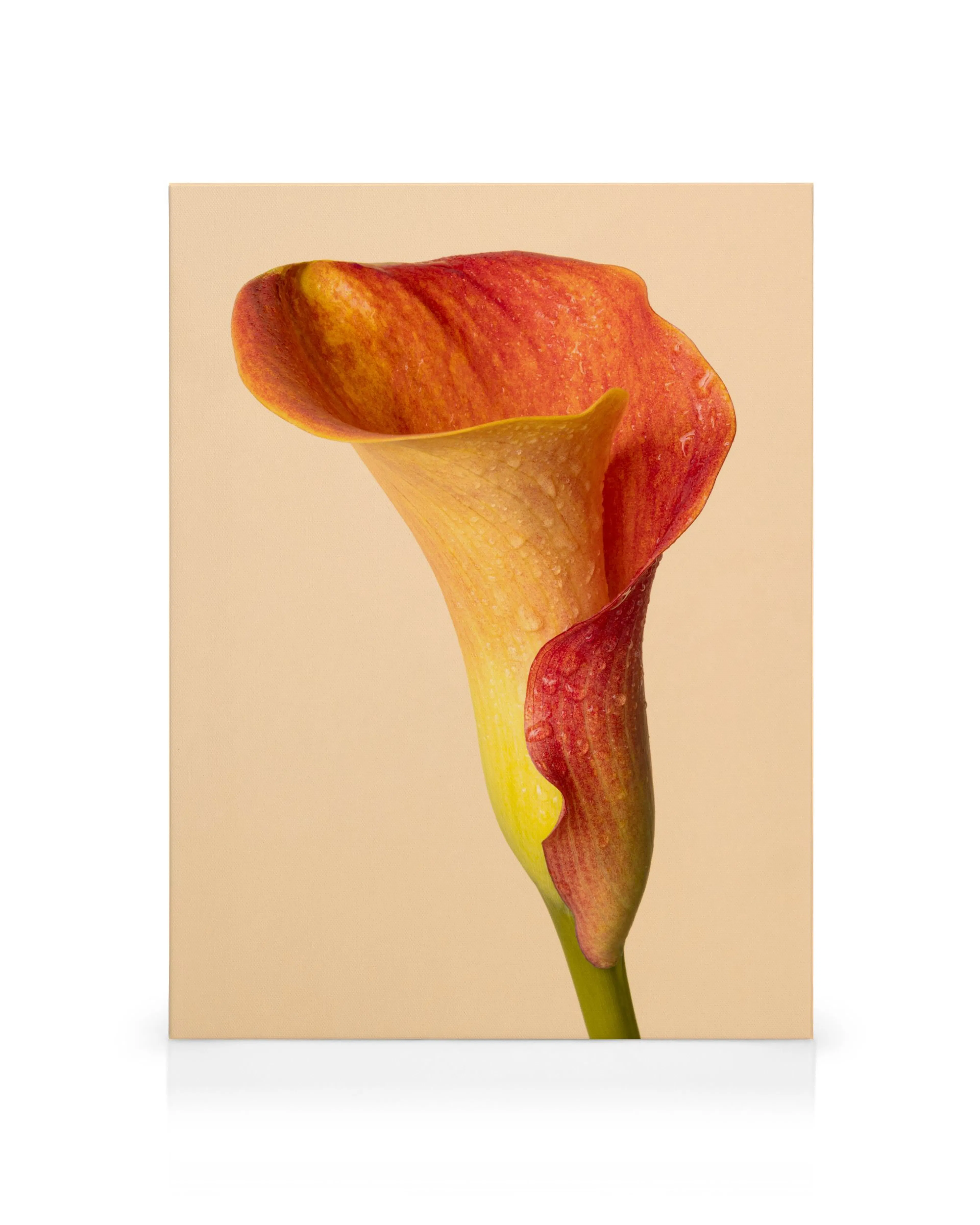 Product image: 1