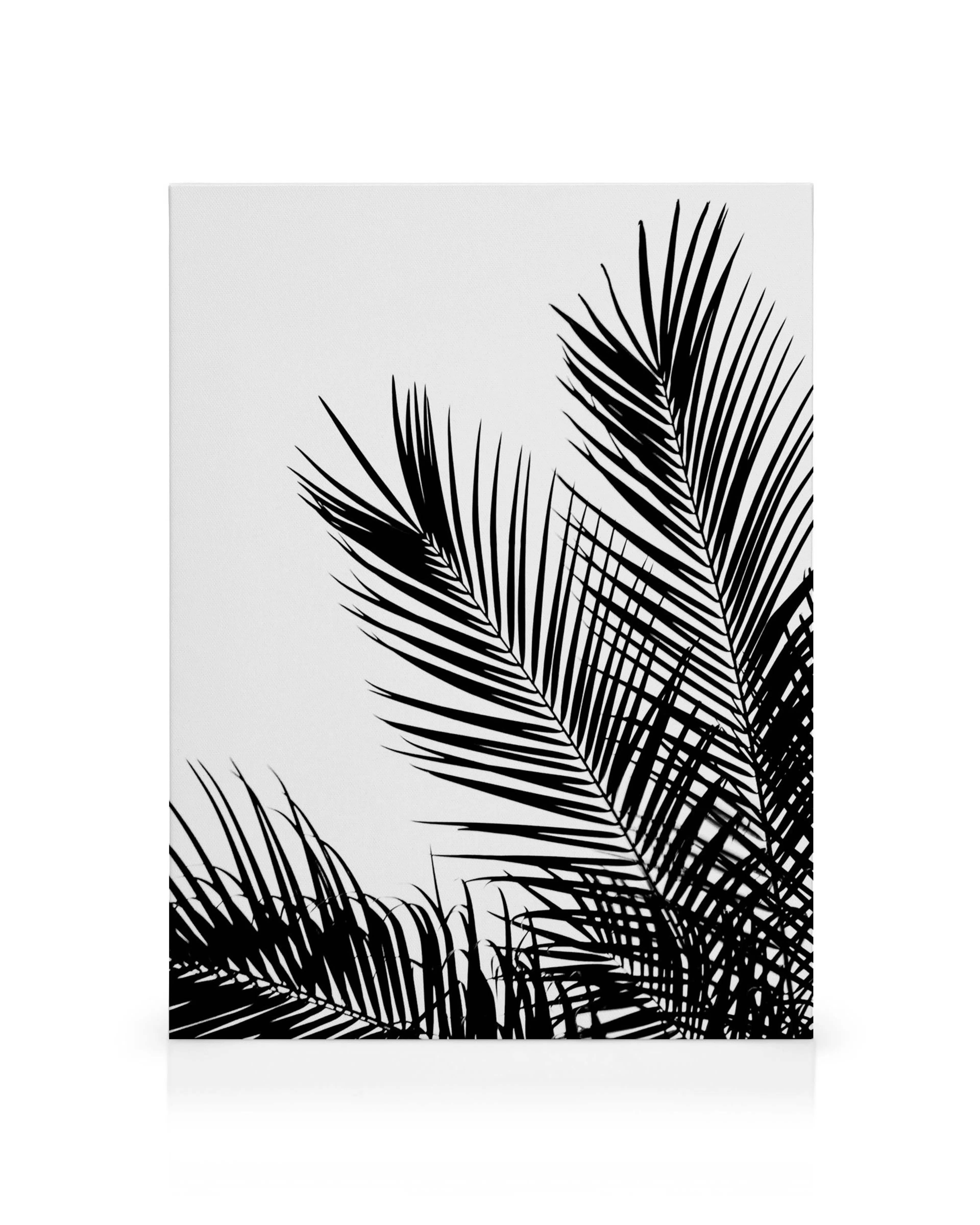 Black and white canvas print of overlapping palm leaves for stylish wall art.