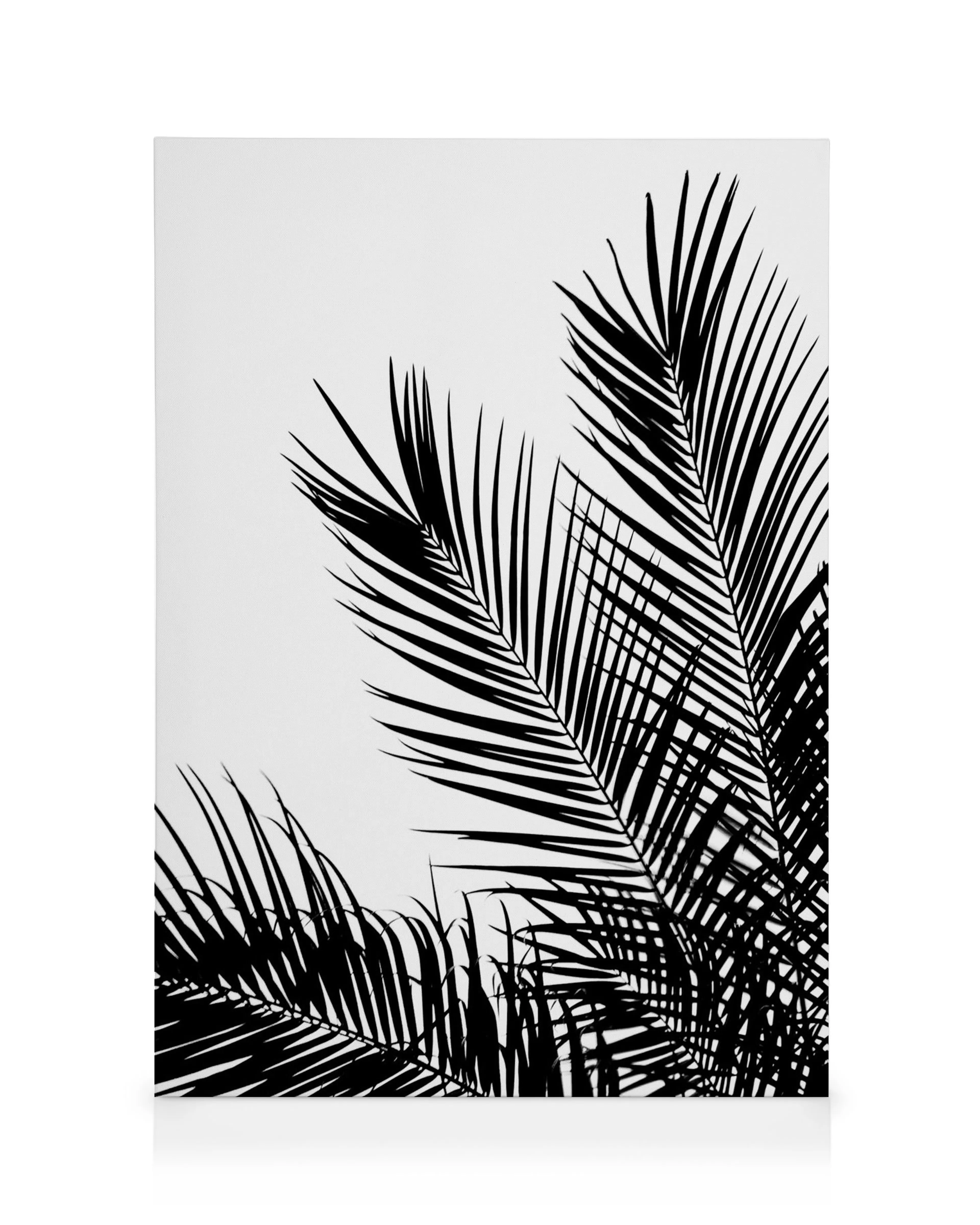 Stampa su tela con foglie di palma nere stilizzate su sfondo bianco, ombre tropicali.