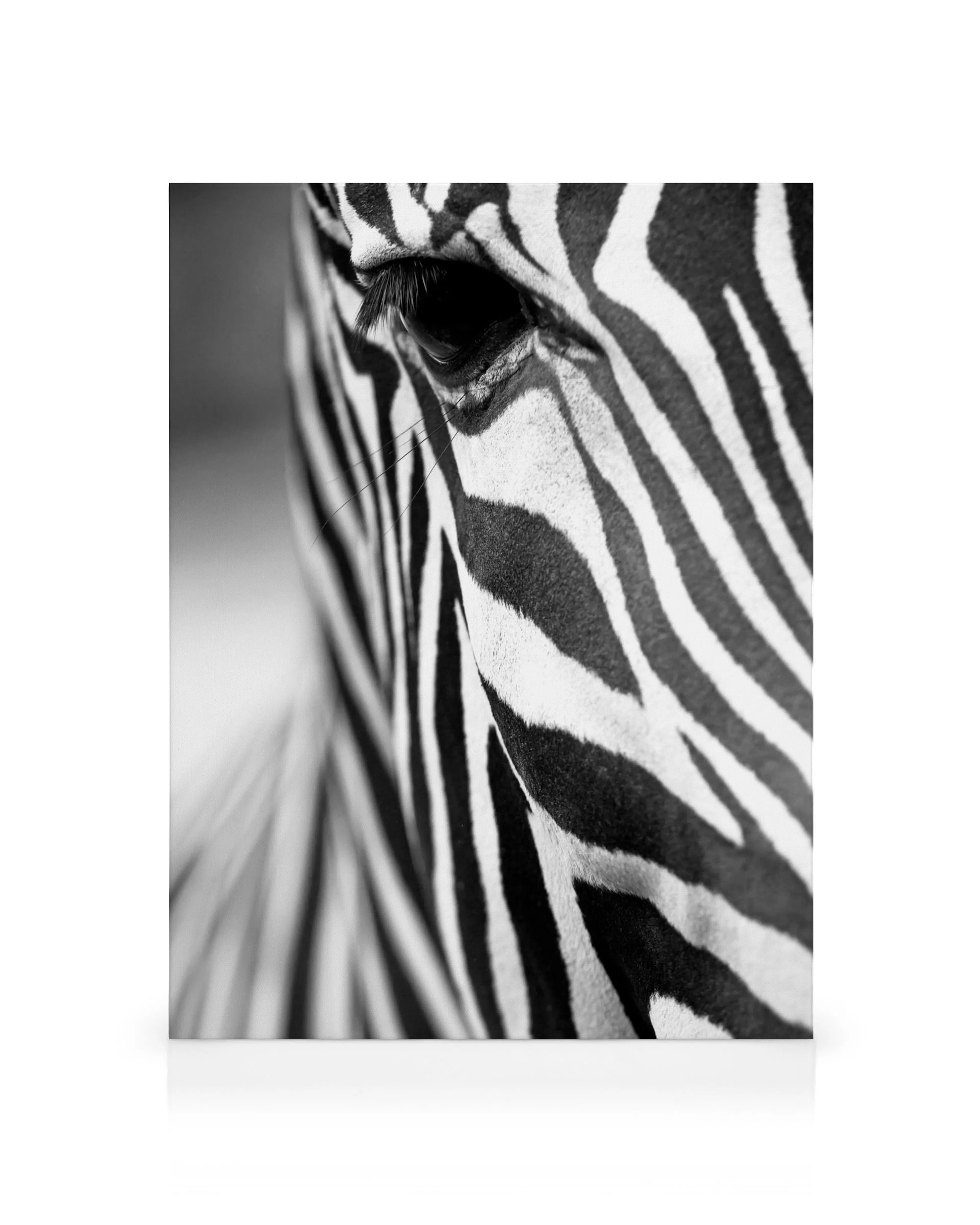 Quadro em tela com close-up do olho e listras de zebra em preto e branco, estilo animal e minimalista.