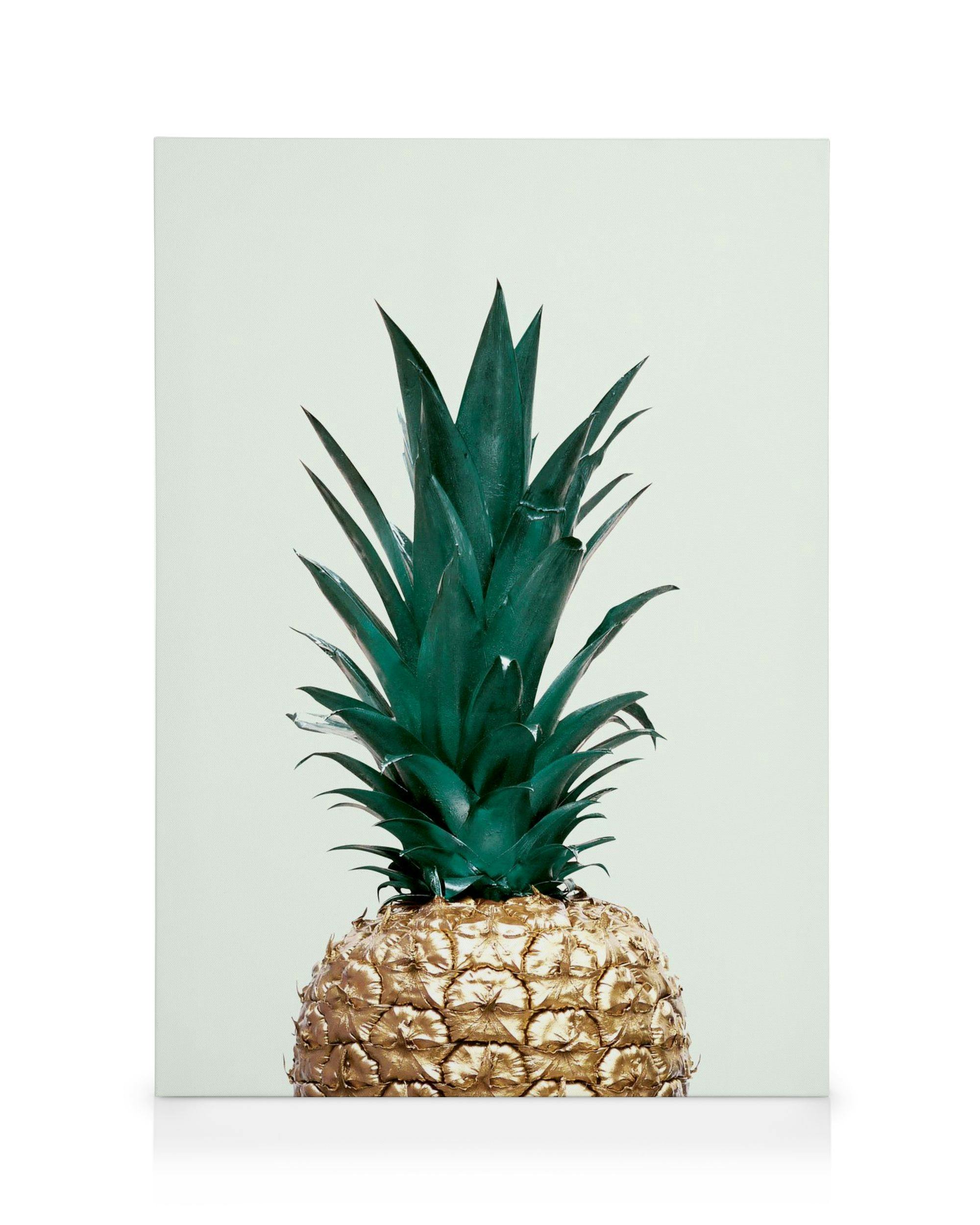 Canvas Prints Green Pineapple, Canvas print (30x40 cm)