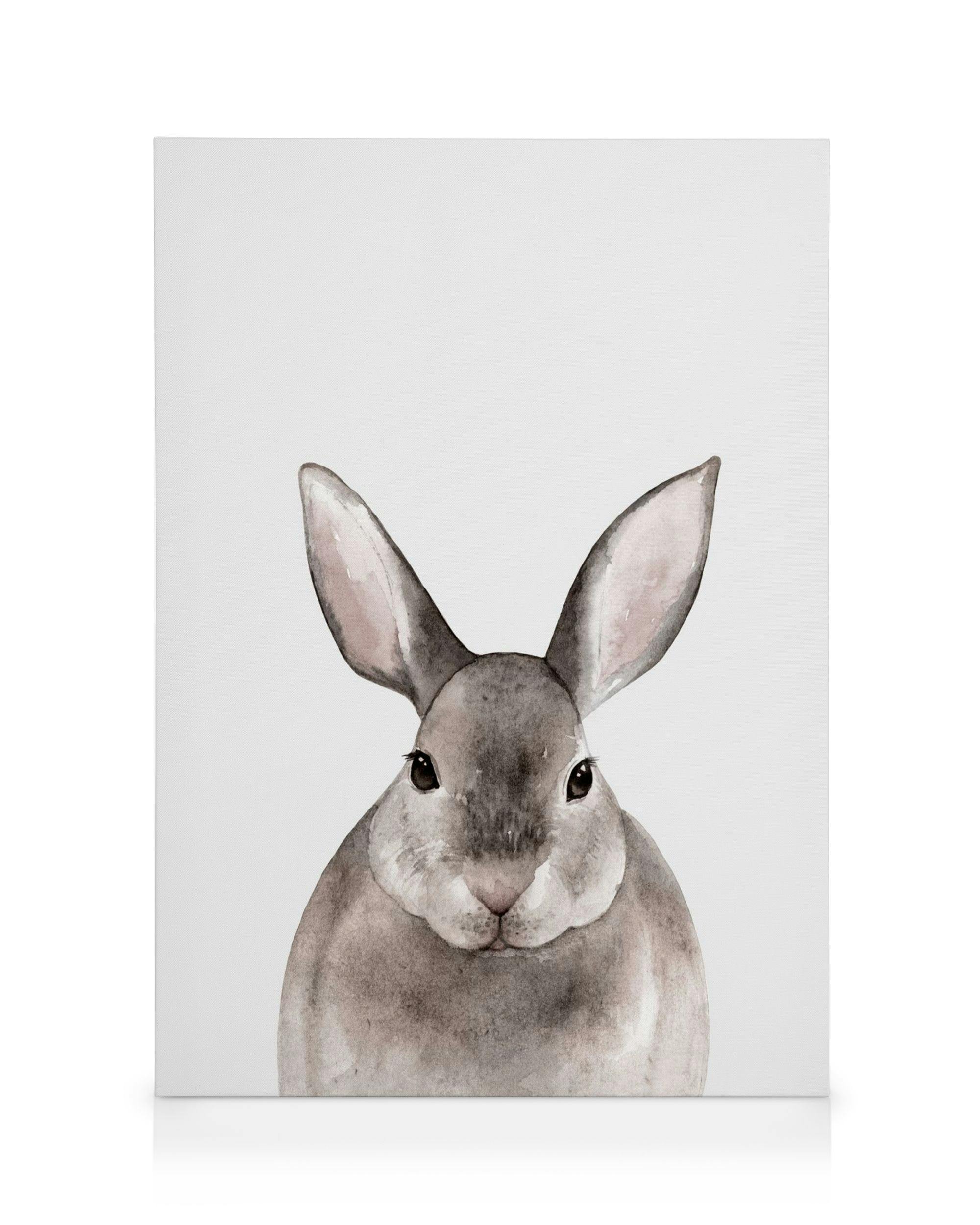 Canvas Prints Little Rabbit Canvas print (30x40 cm - Black Frame)