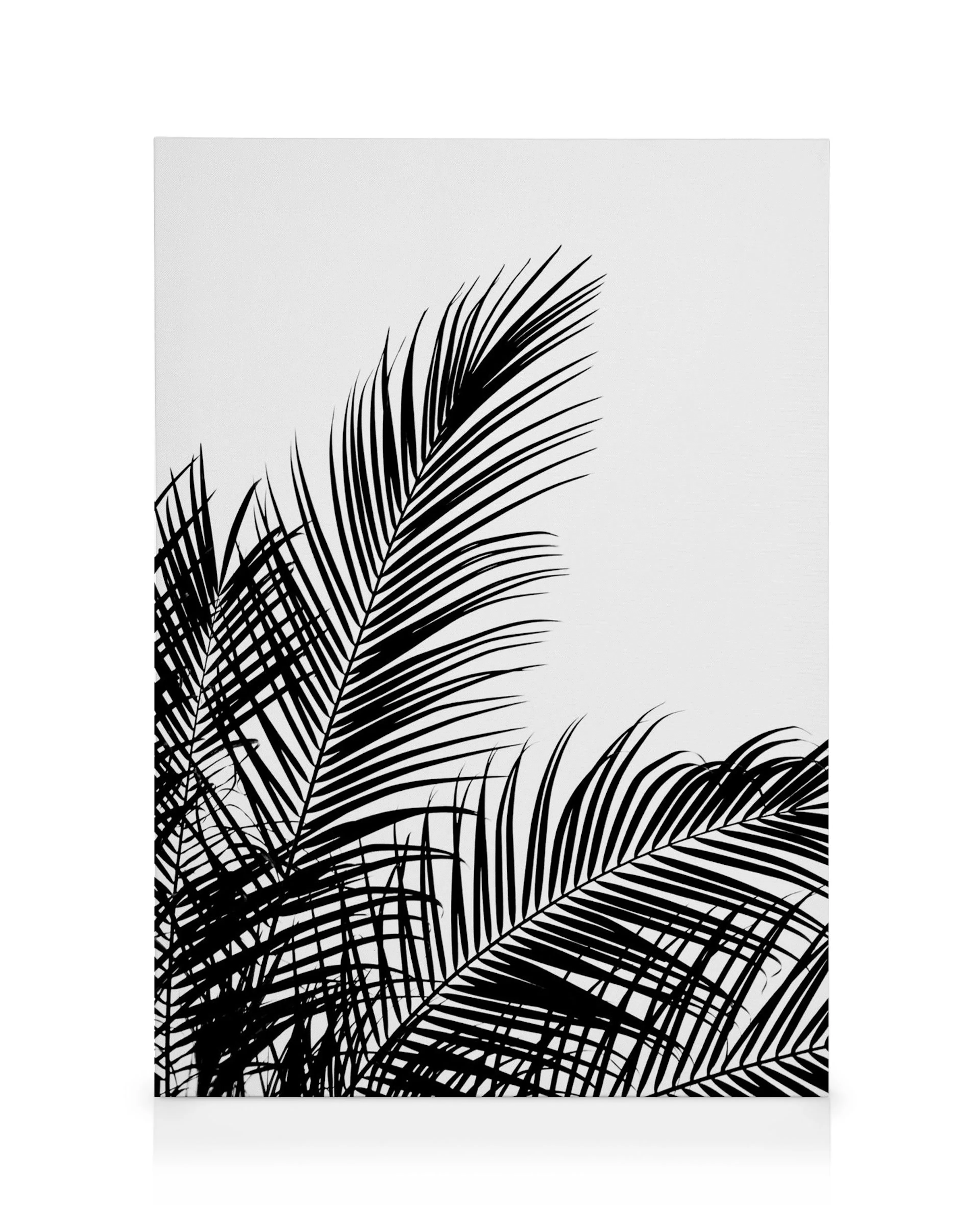 Black and white canvas print featuring bold black palm leaves on a stark white background, creating a striking contrast.