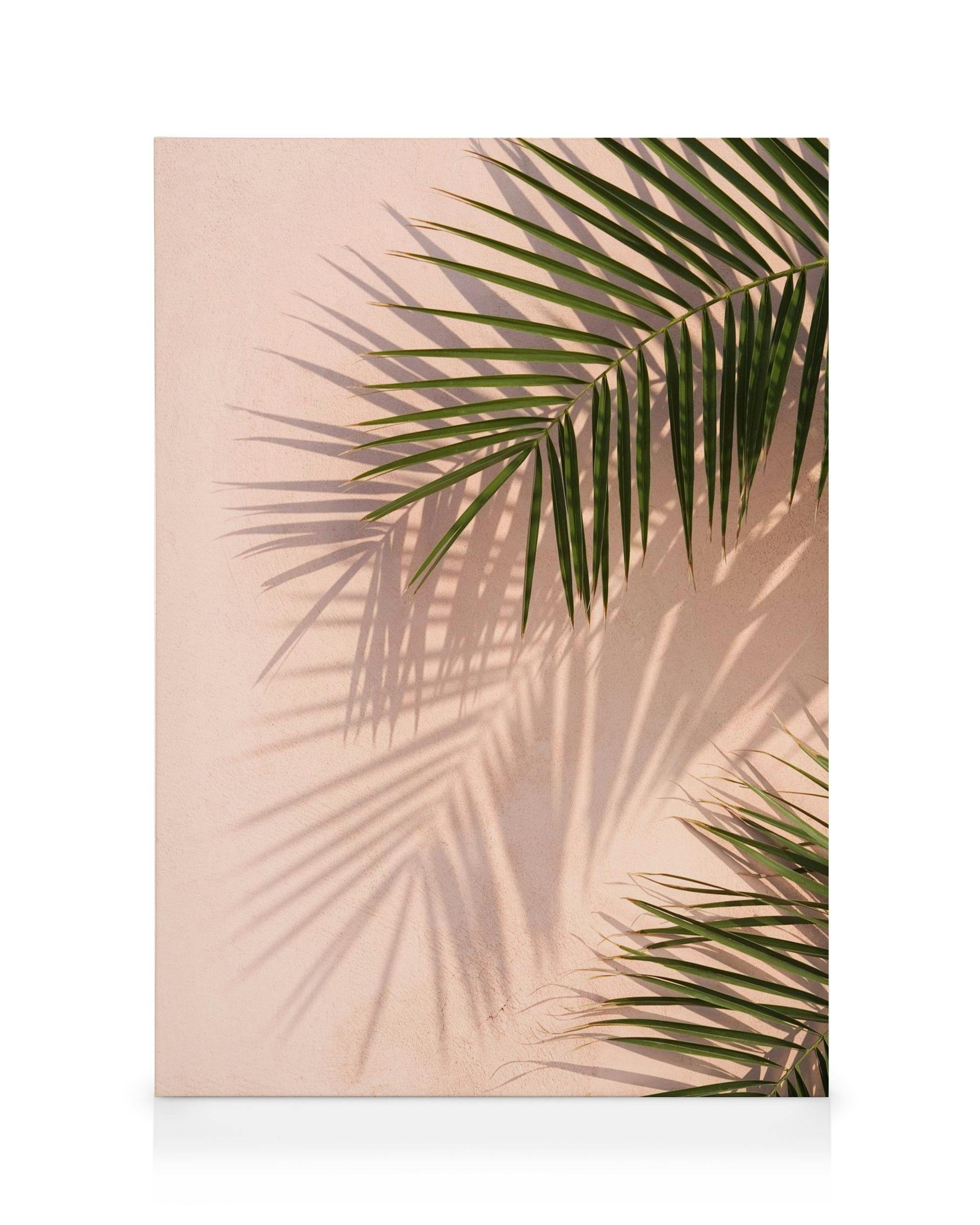 Canvas Prints Pink Palm Canvas print (30x40 cm - Oak Frame)
