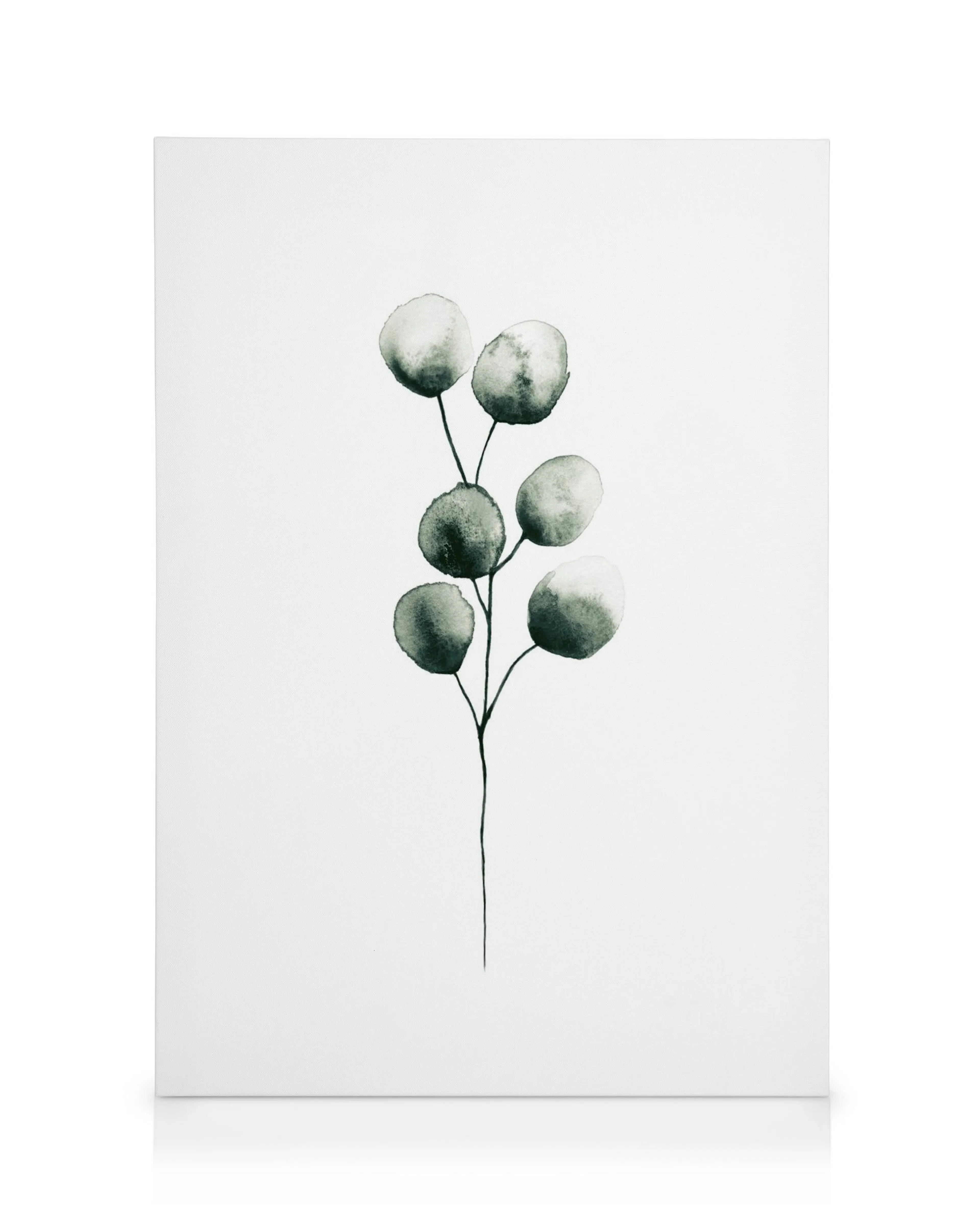 Eucalyptus plant canvas met gestileerde, ronde groene bladvormen op dunne zwarte stelen tegen een witte achtergrond.