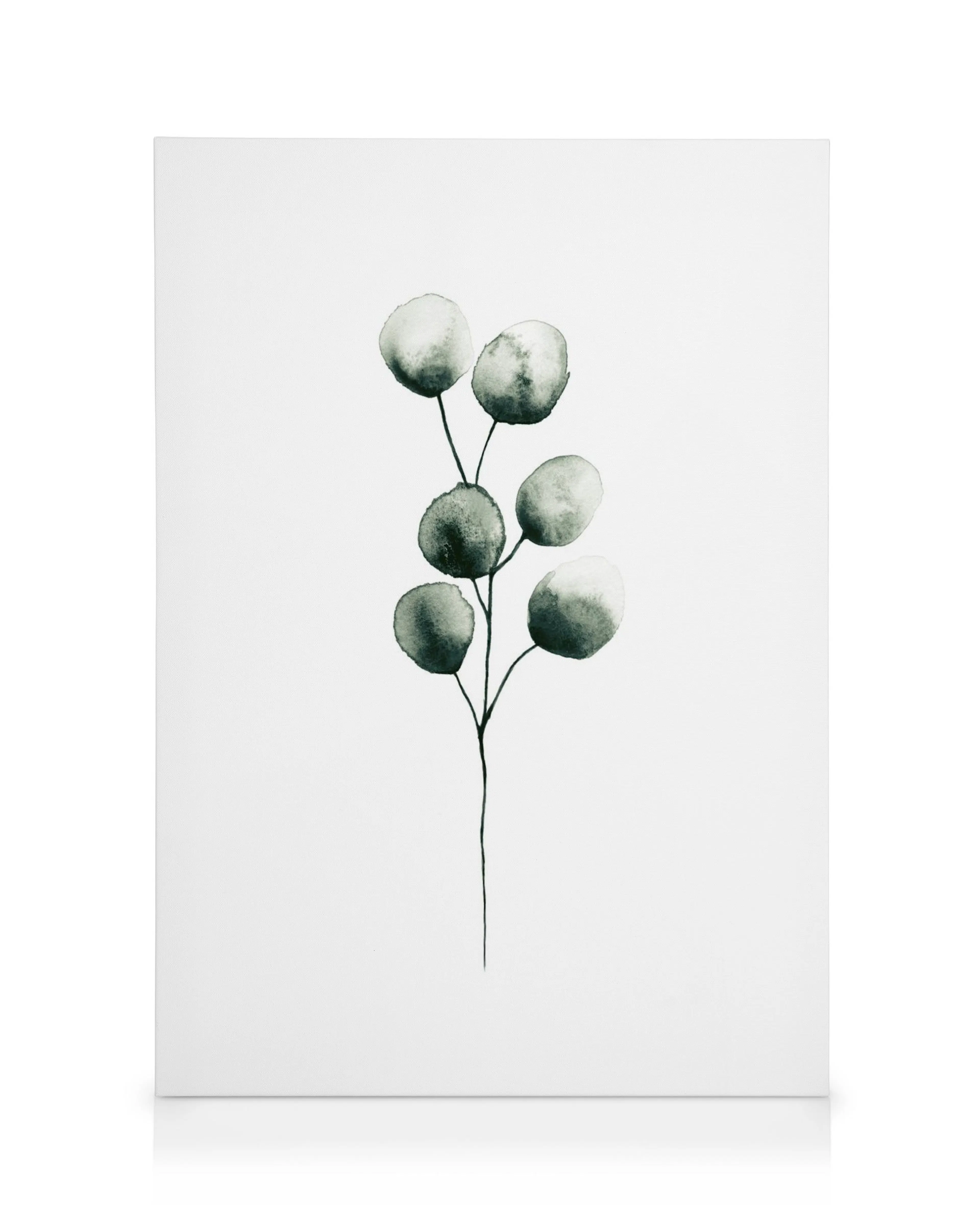 Lærred med enkel eukalyptusgren, mørkegrønne blade, hvid baggrund, akvarelstil, botanisk, minimalistisk design.