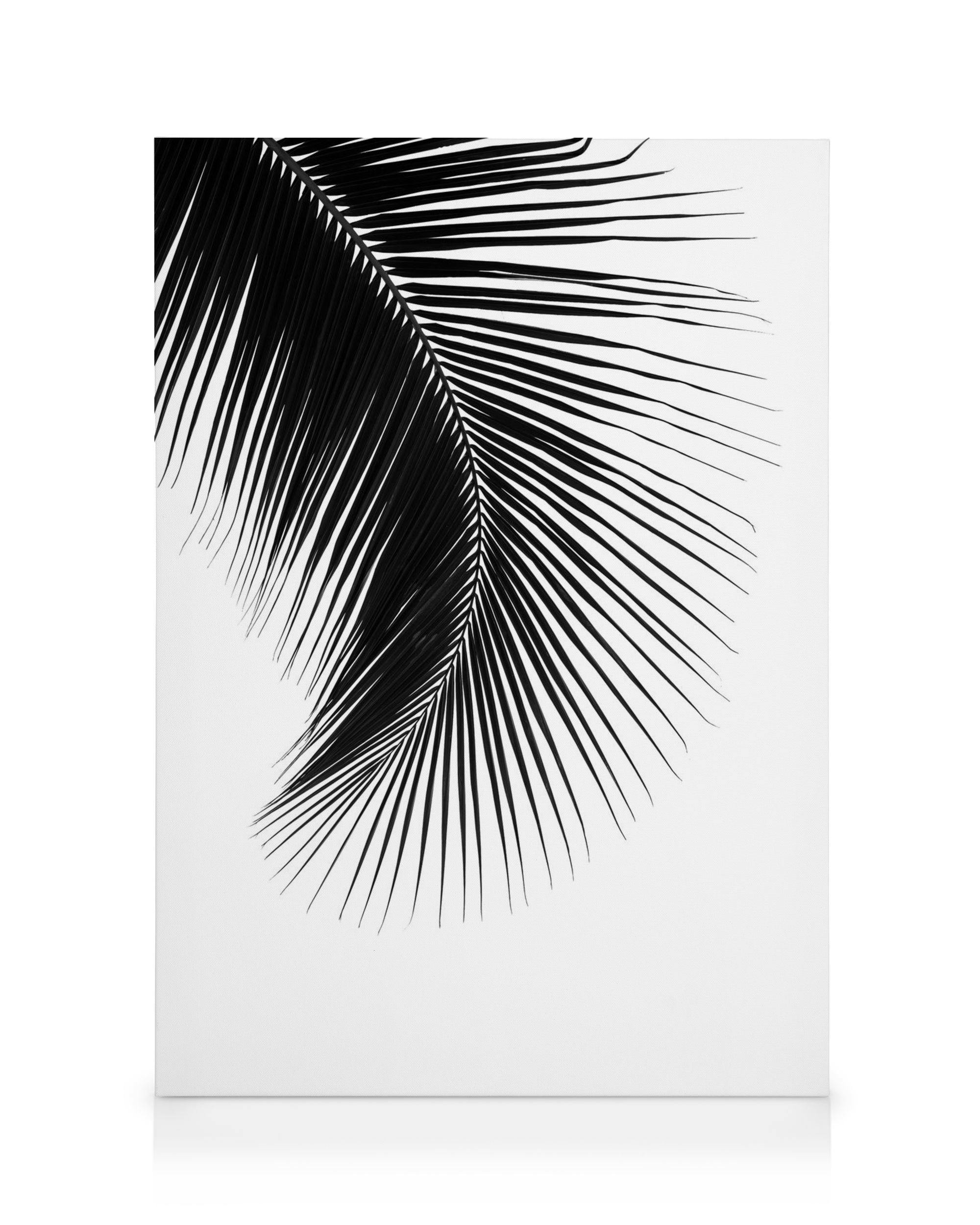 Canvas Prints Black Palm Leaf, Canvas print (30x40 cm)