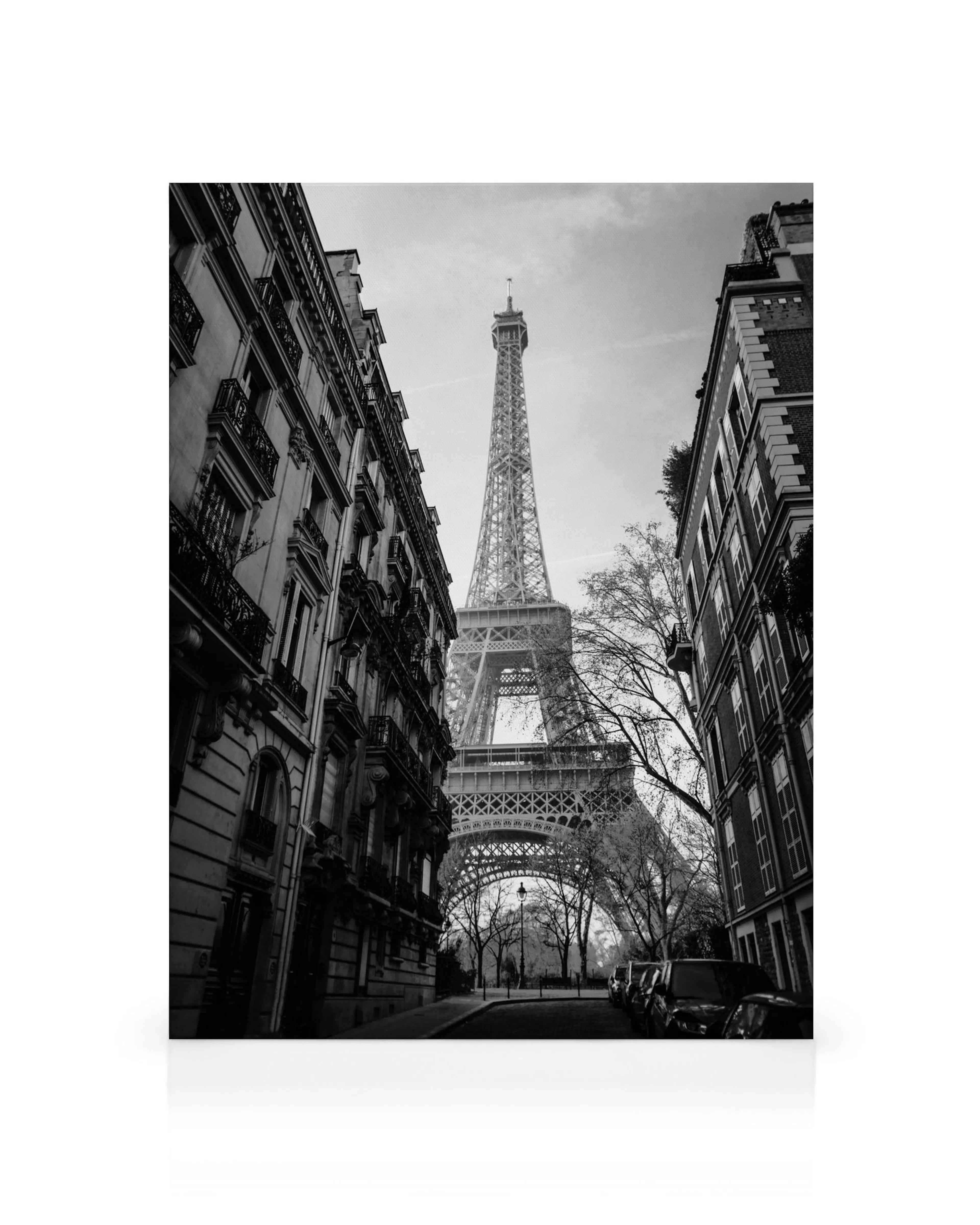 Black and white canvas print of the Eiffel Tower framed by Parisian buildings and trees, a street scene