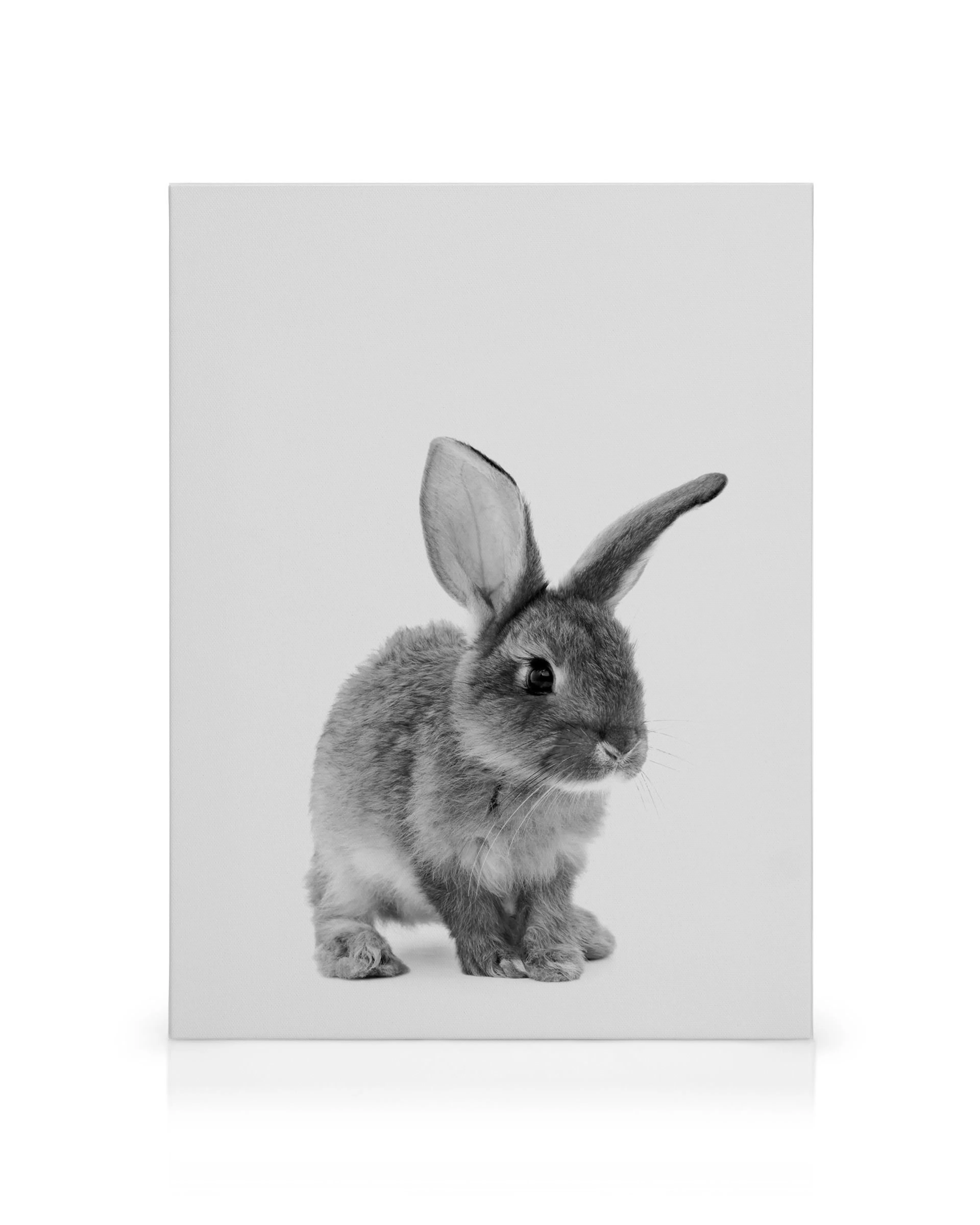 Black and white canvas print of a fluffy rabbit, perfect wall art for a nursery.