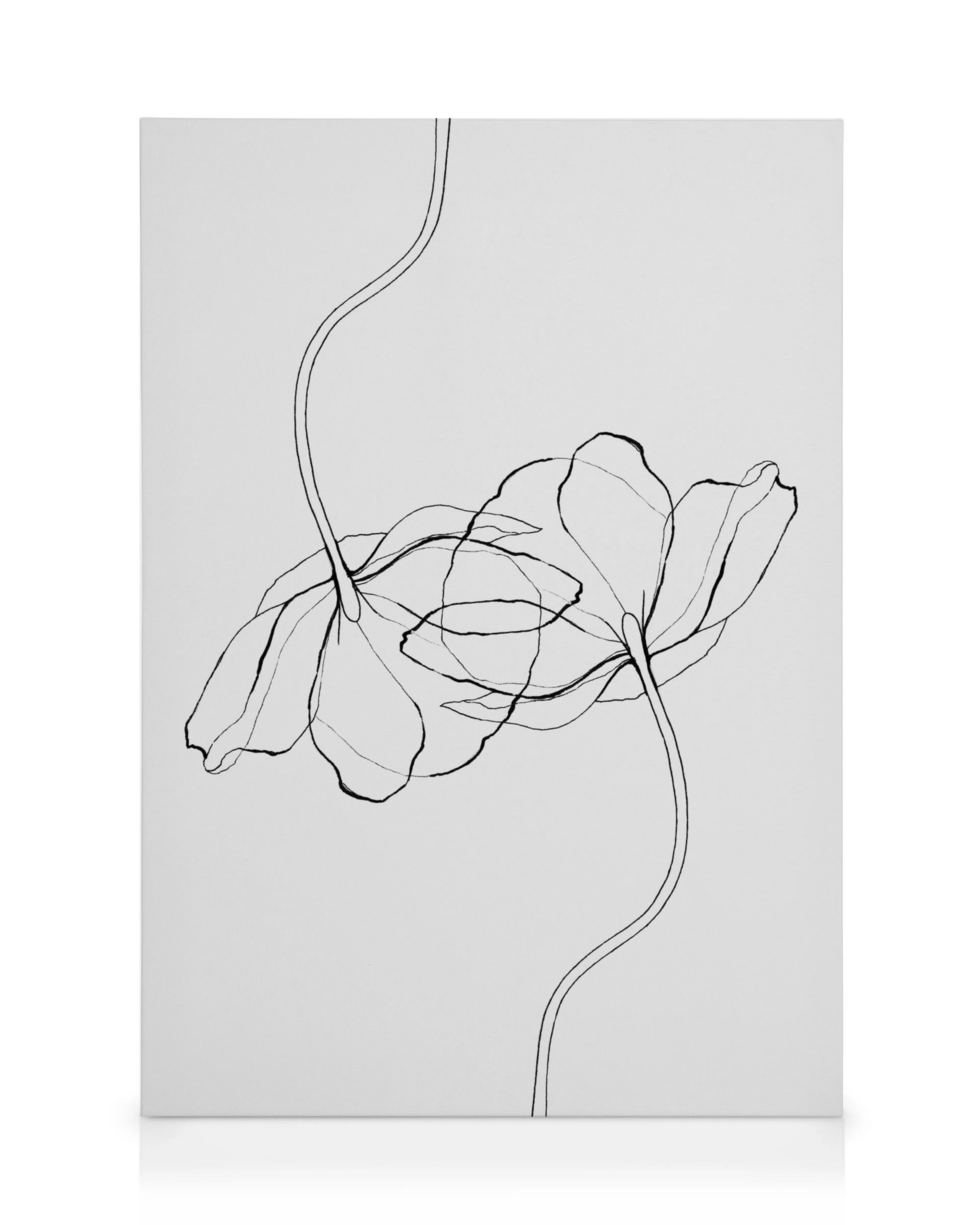 Canvas met minimalistische zwarte bloemenomtrek op een witte achtergrond, Line Poppies design