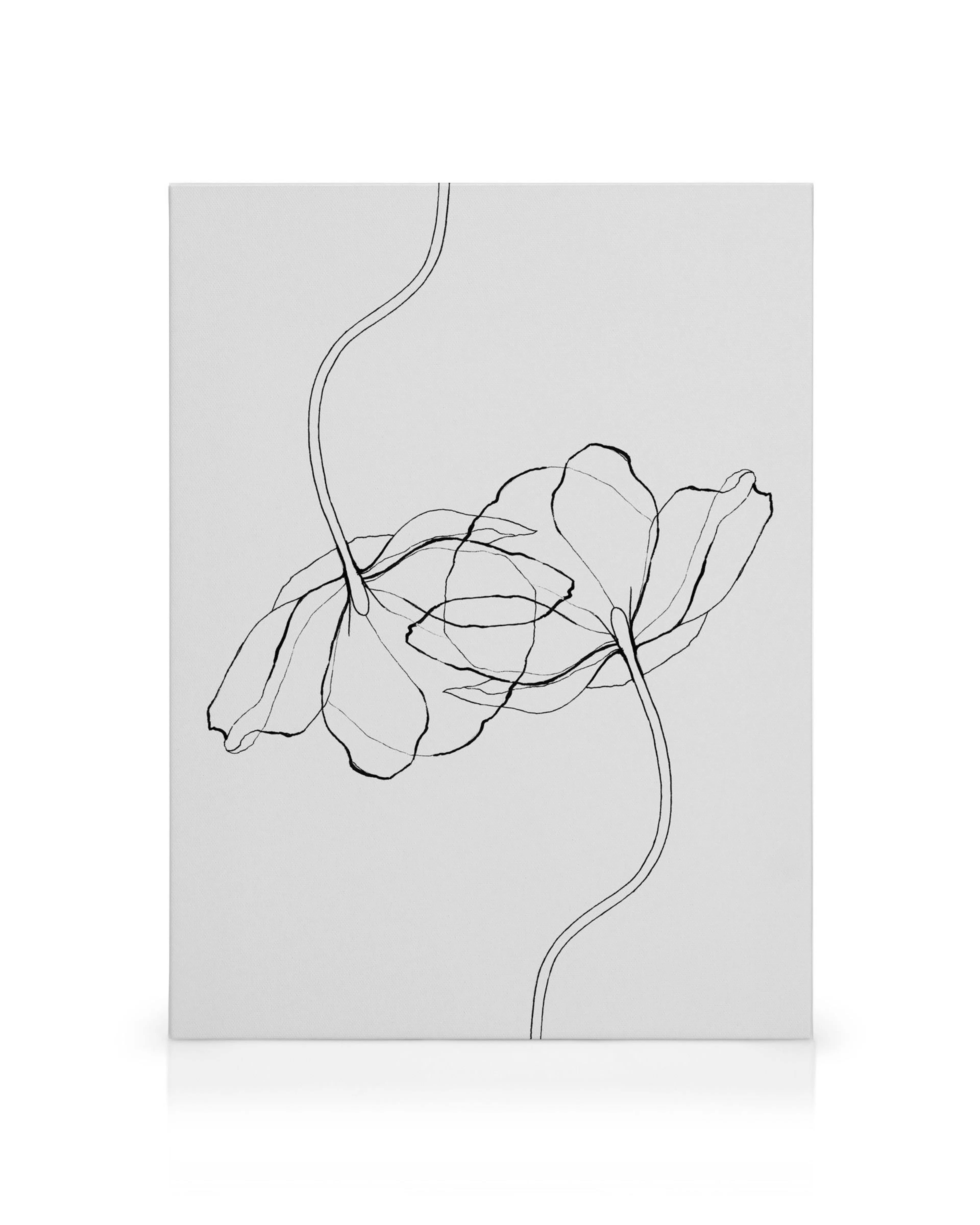 Leinwandbild mit minimalistischer schwarzer Linienzeichnung von zwei Mohnblumen auf weißem Hintergrund, filigrane Stiele.