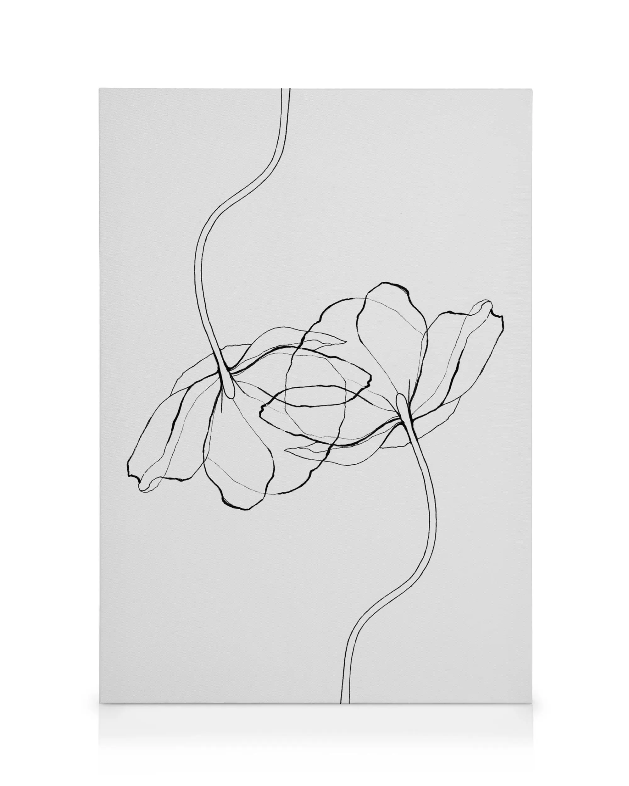 Line Poppies canvas print with black and white outline of two flowers on stems.