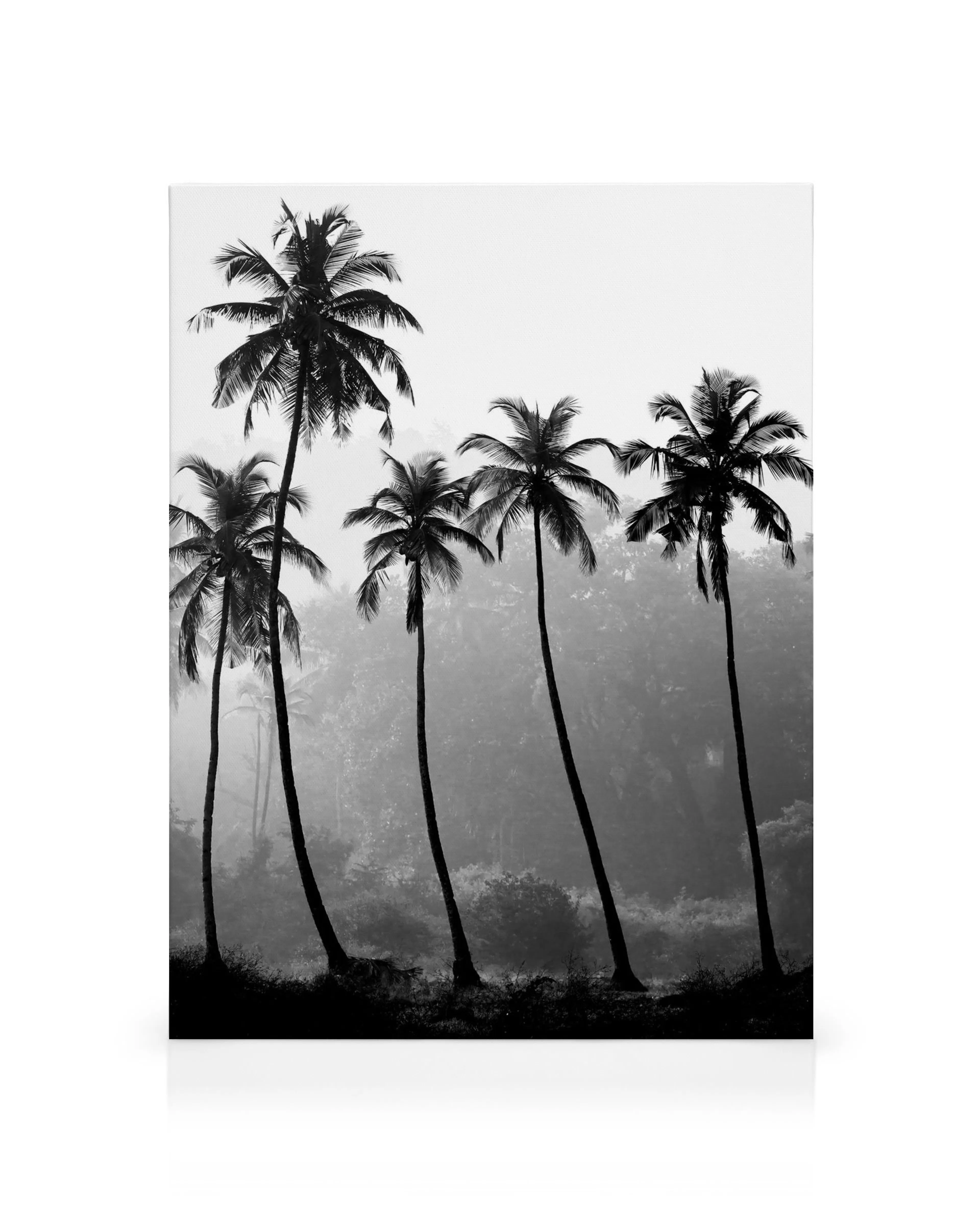 Schwarz-Weiß-Leinwandbild mit Palmen, die in nebligen Dschungel übergehen, tropical Wandkunst