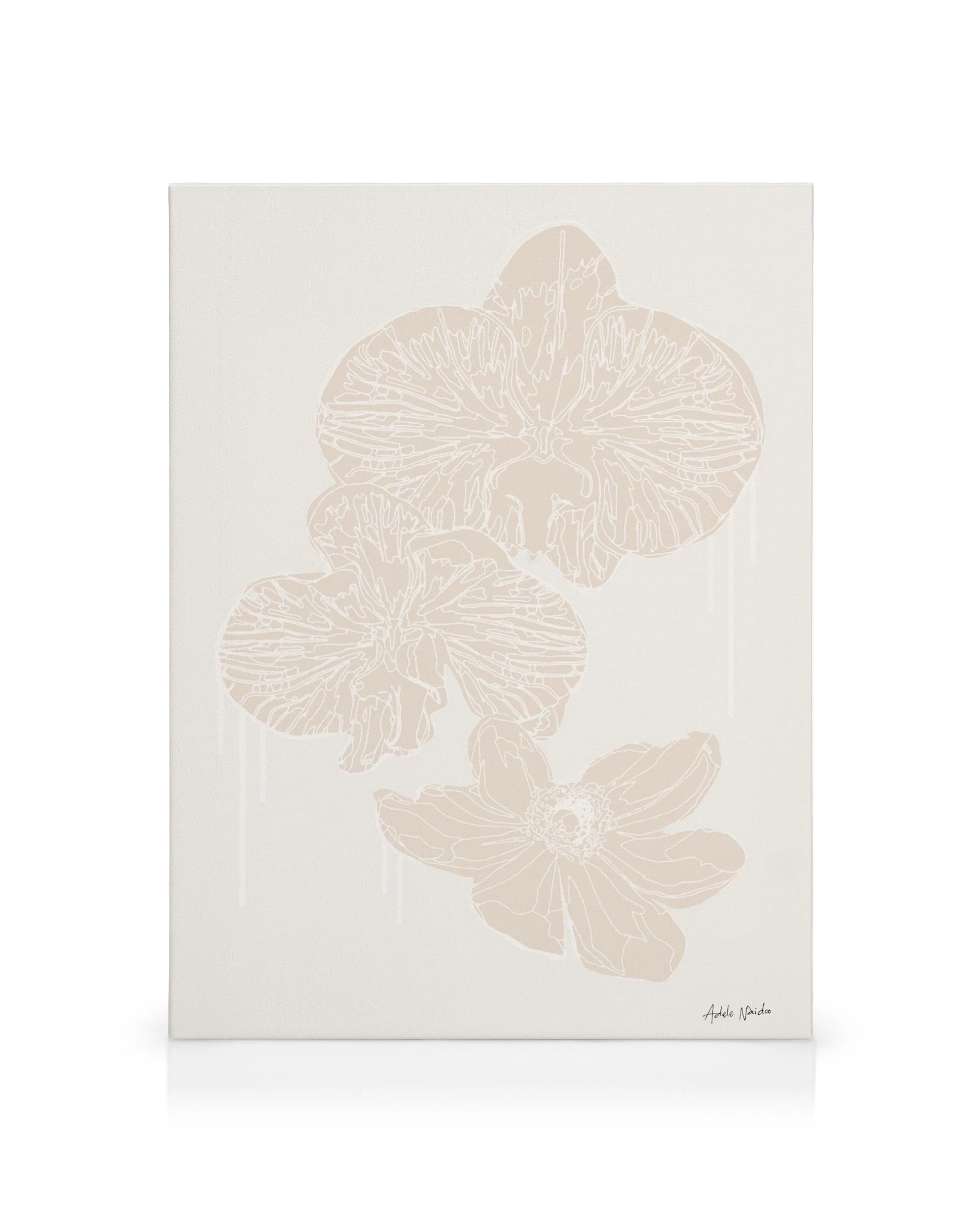 Santorini, Grecia stampa su tela: fiori beige sereni, illustrazione di galleria a parete piatta.