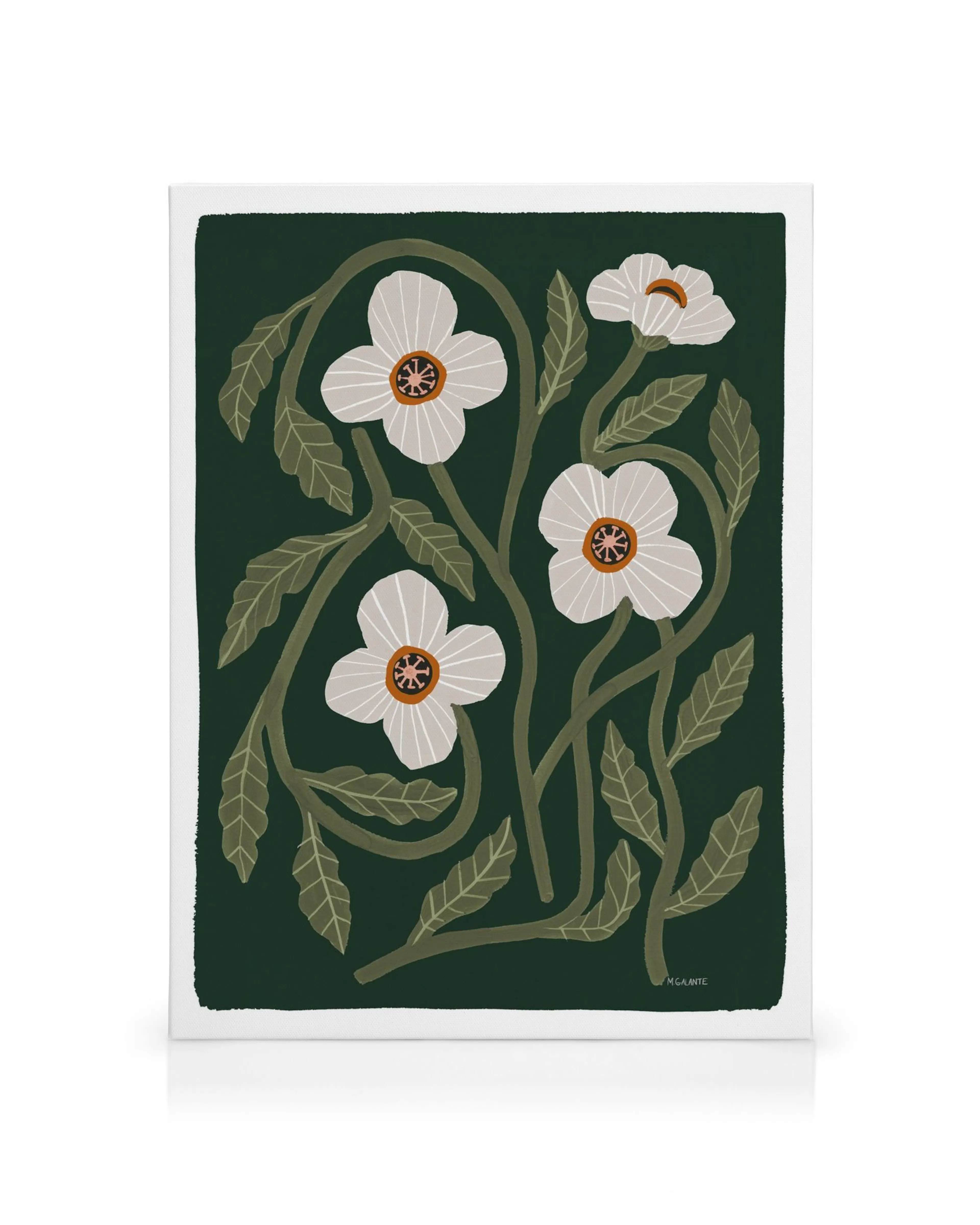 Megan Galante California Poppy canvas print, five white poppy flowers, orange brown centers, green leaves on dark green backgrou